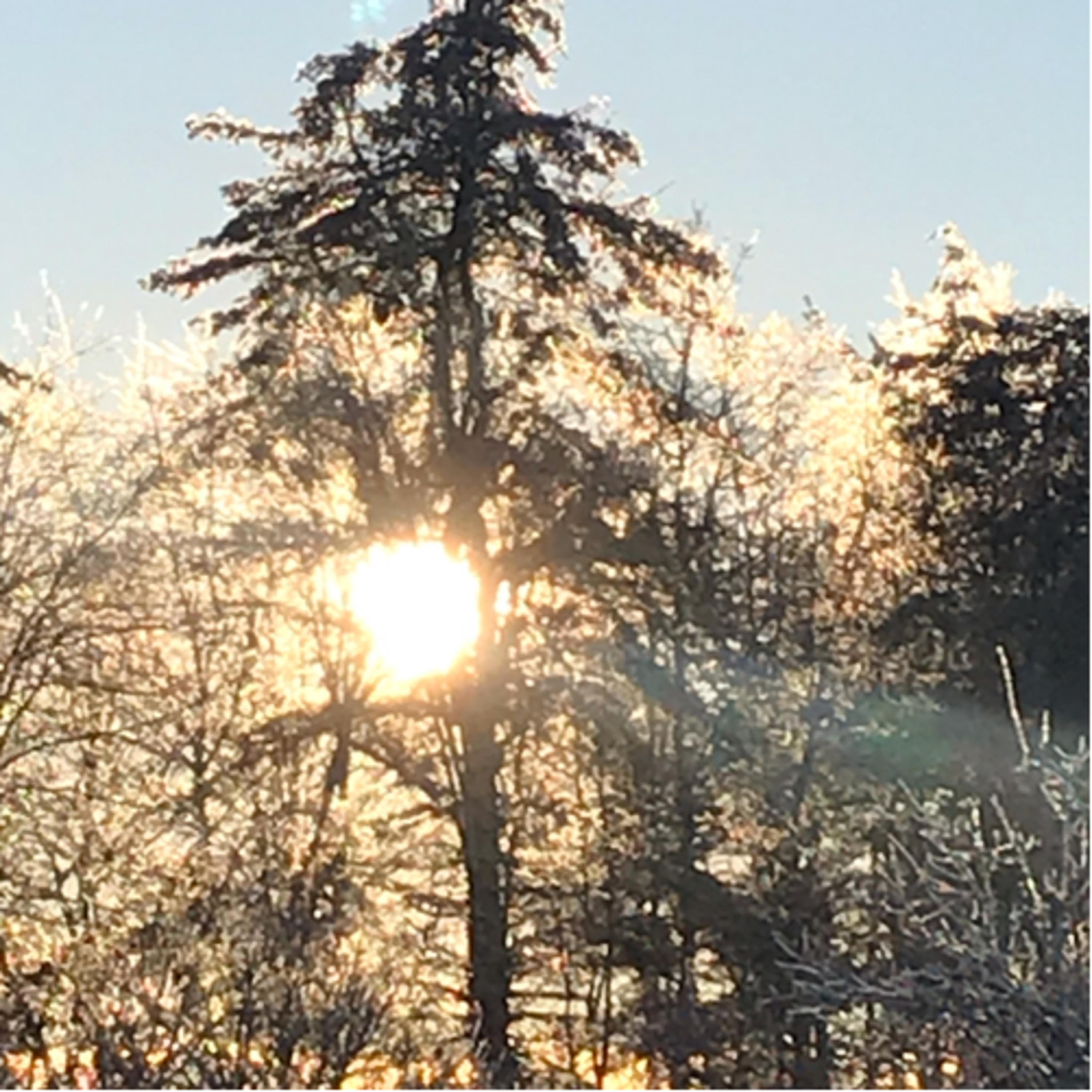 Up at Dawn