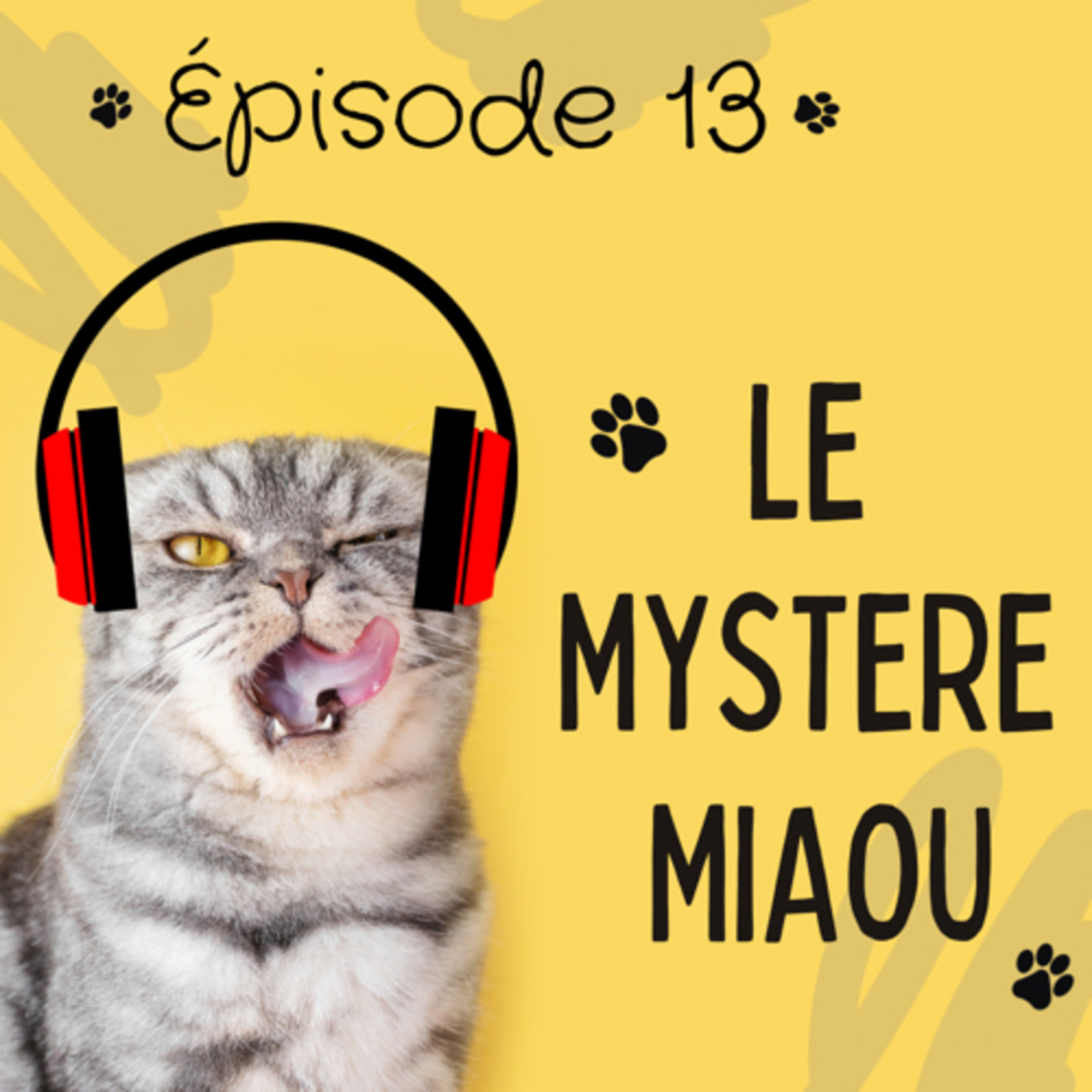 Le Mystère Miaou, un podcast de chats.