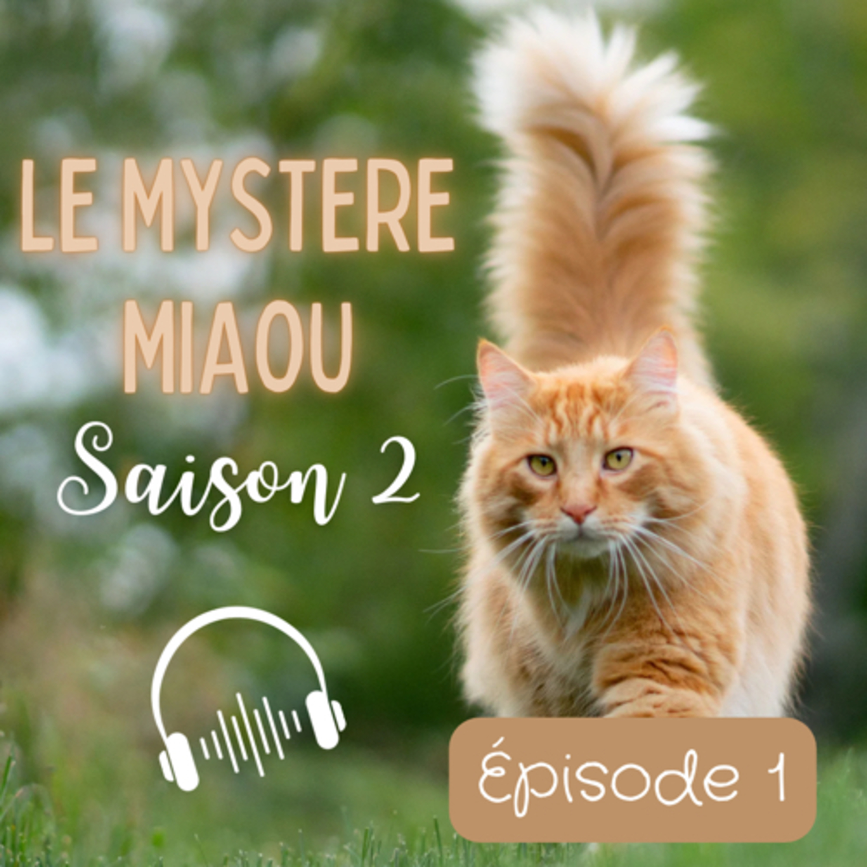 Le Mystère Miaou, un podcast de chats.