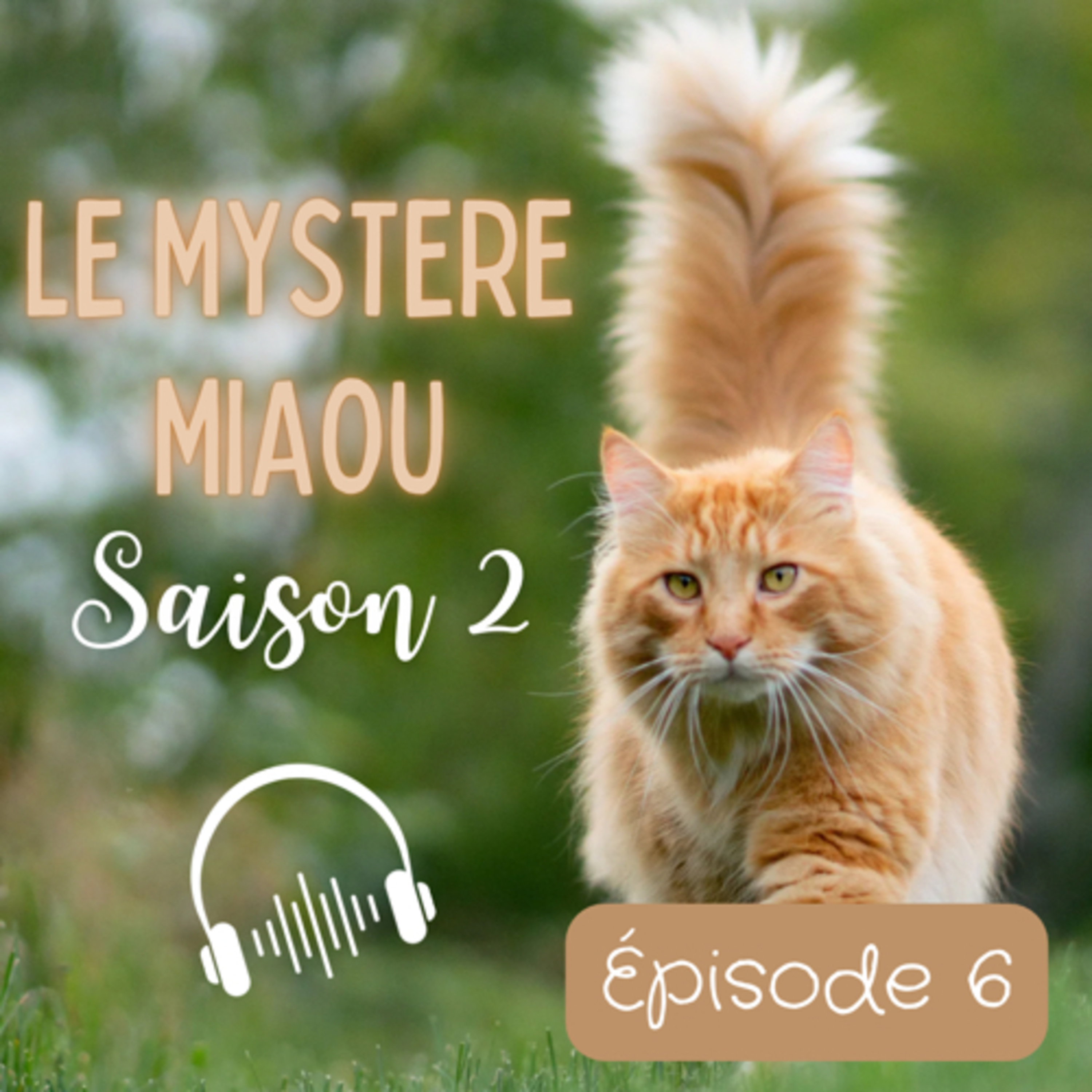 Le Mystère Miaou, un podcast de chats.
