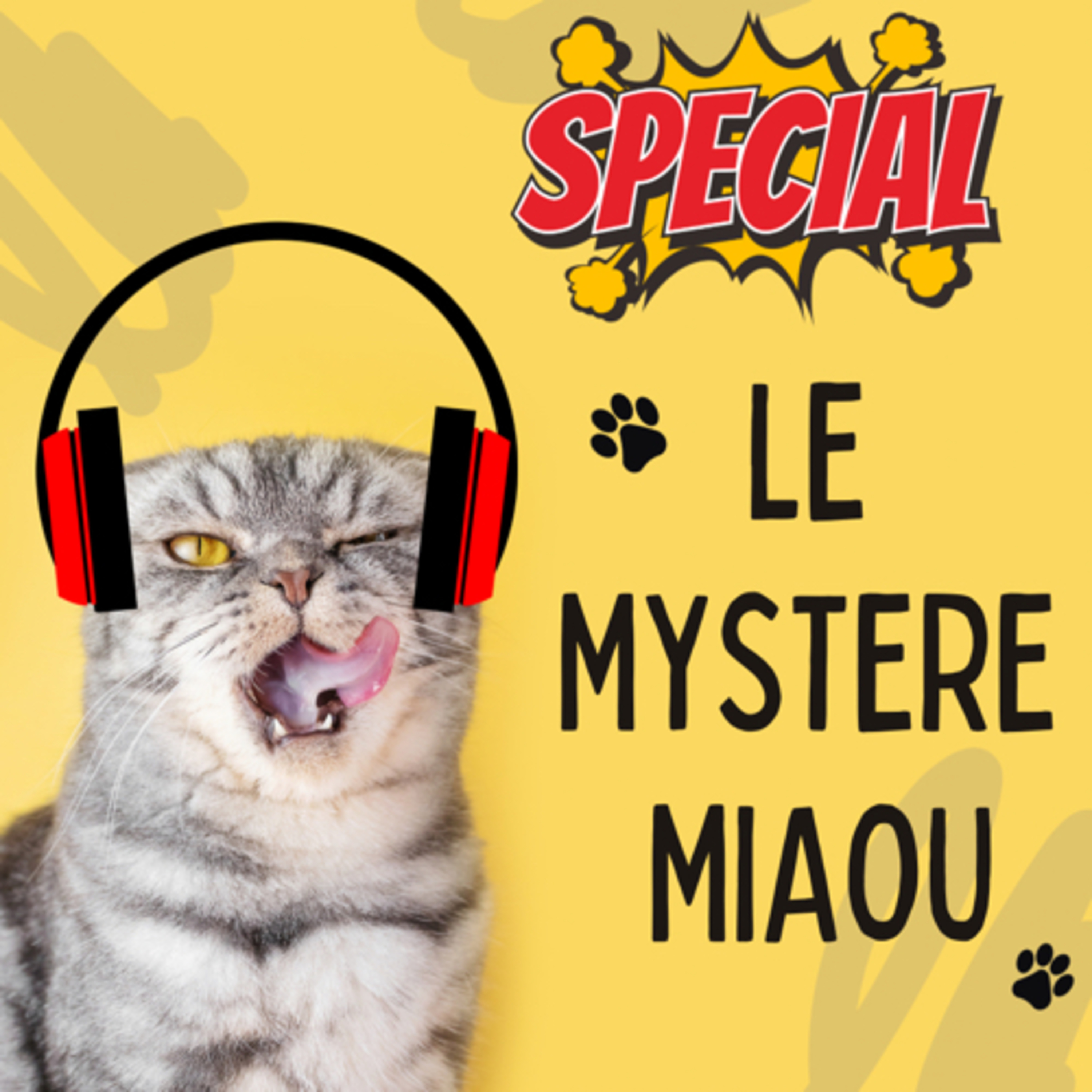 Le Mystère Miaou, un podcast de chats.