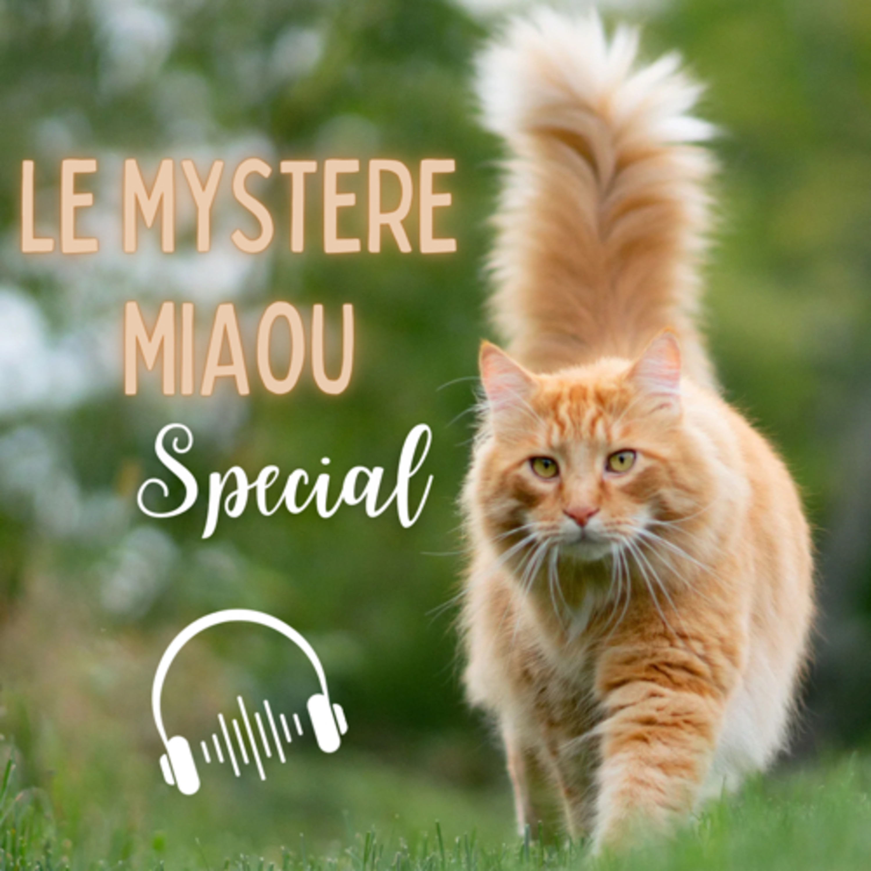 Le Mystère Miaou, un podcast de chats.