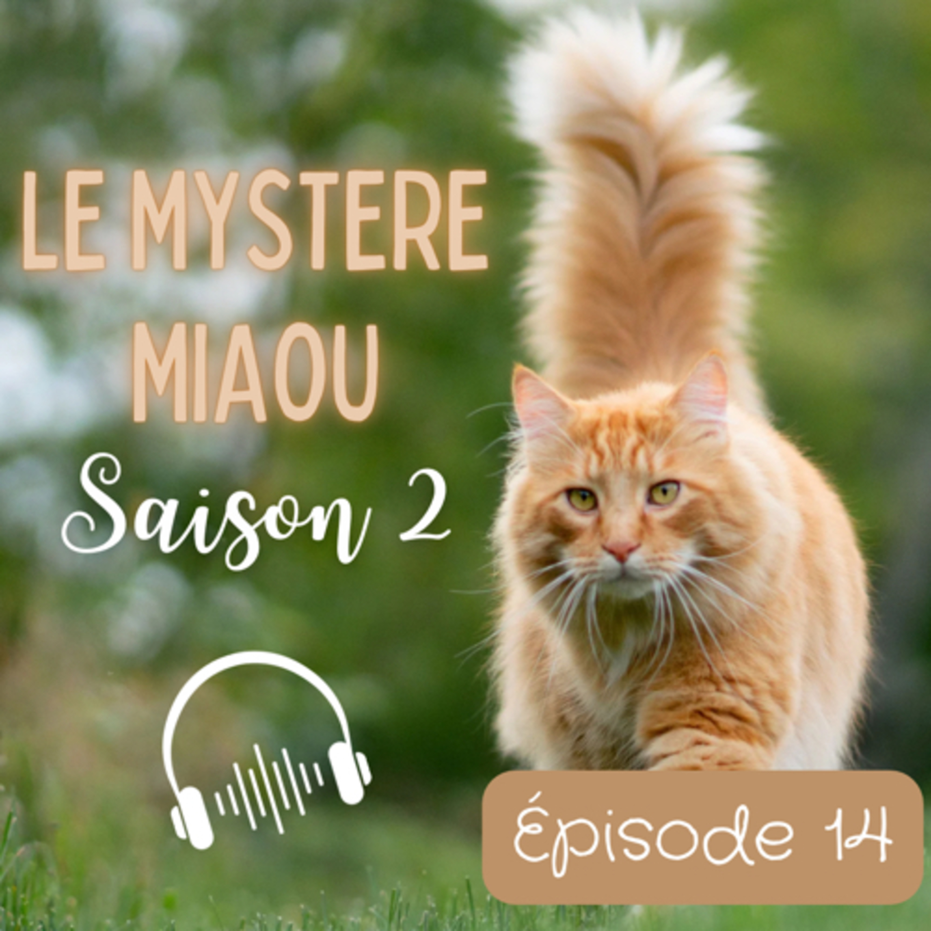 Le Mystère Miaou, un podcast de chats.