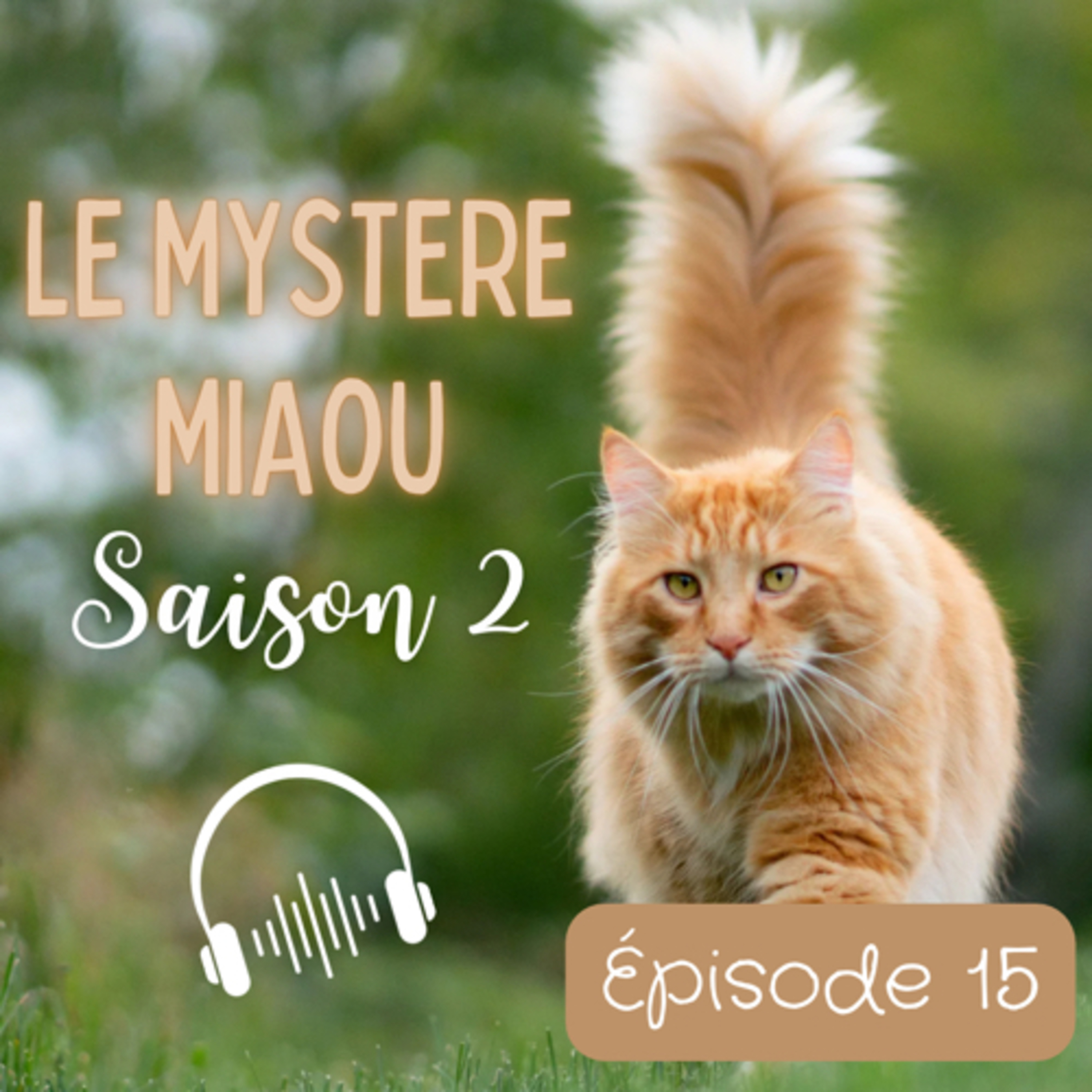 Le Mystère Miaou, un podcast de chats.