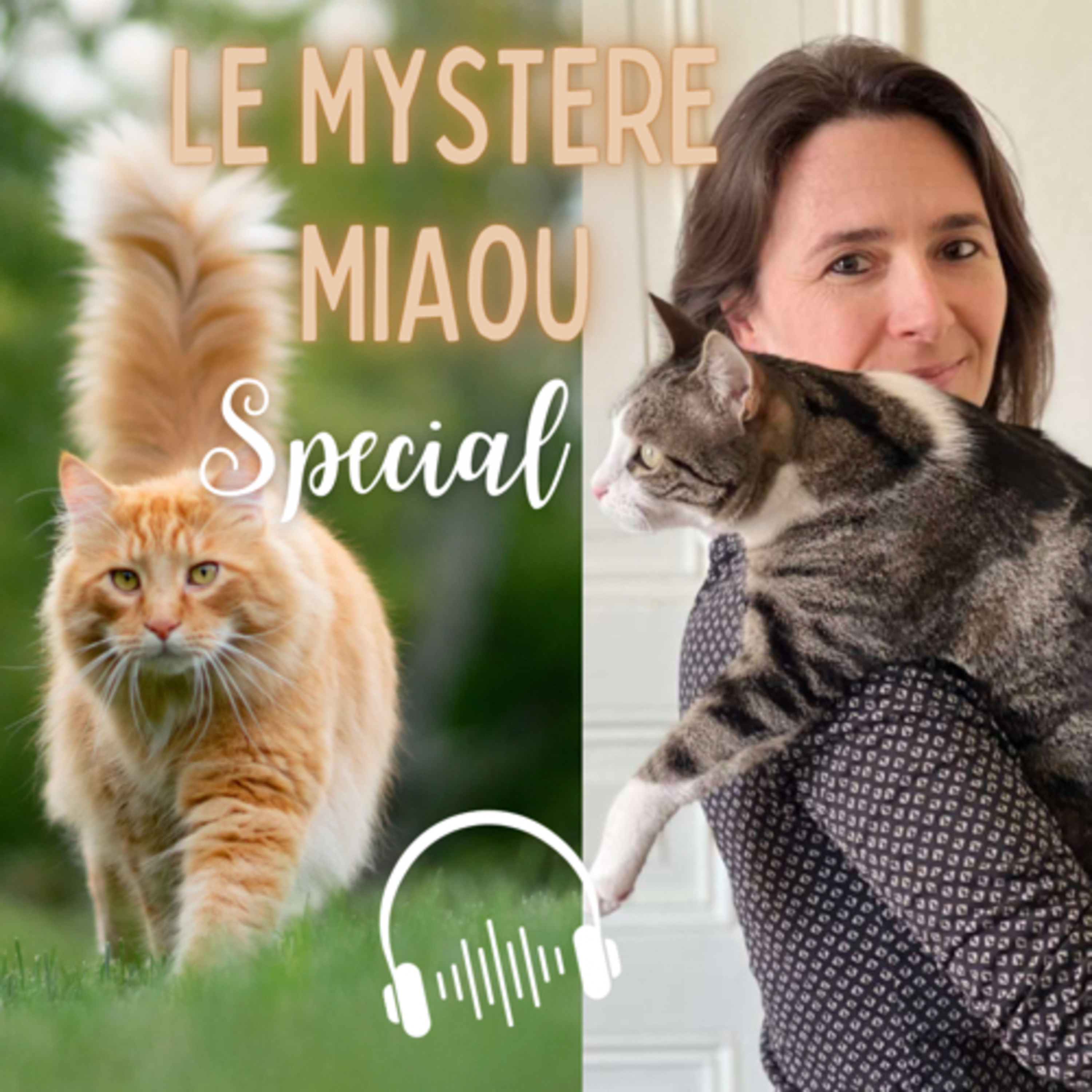 Le Mystère Miaou, un podcast de chats.