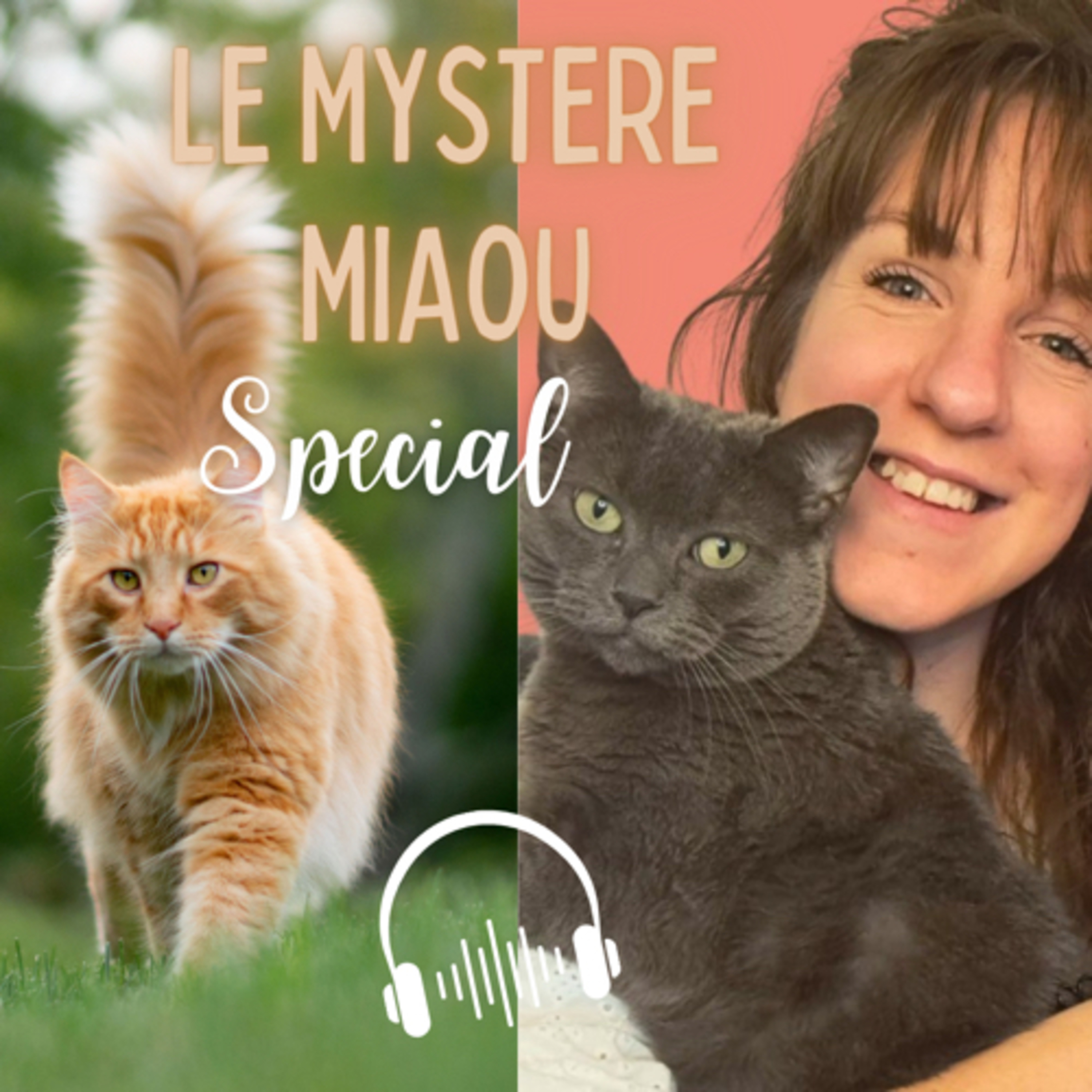 Le Mystère Miaou, un podcast de chats.
