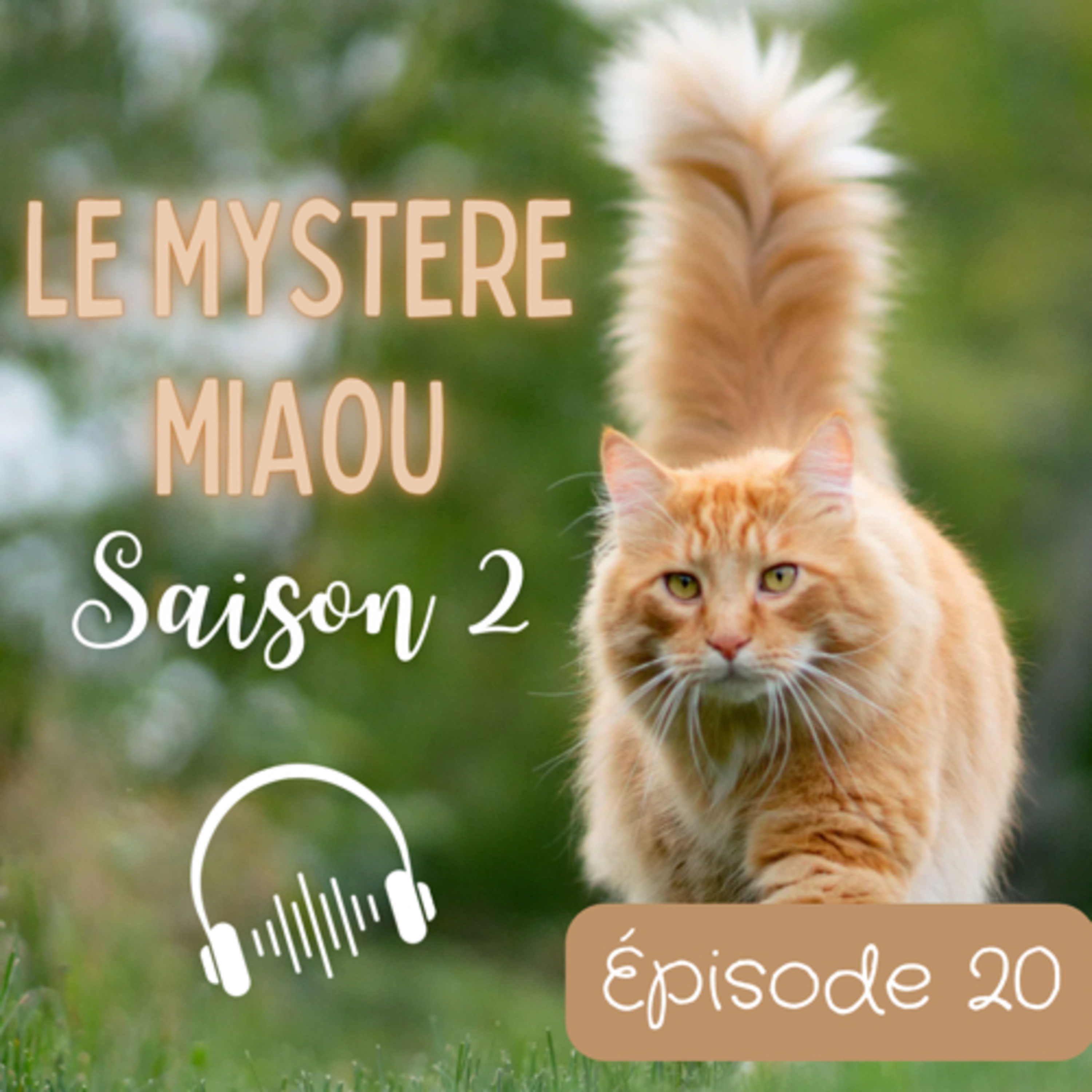 Le Mystère Miaou, un podcast de chats.