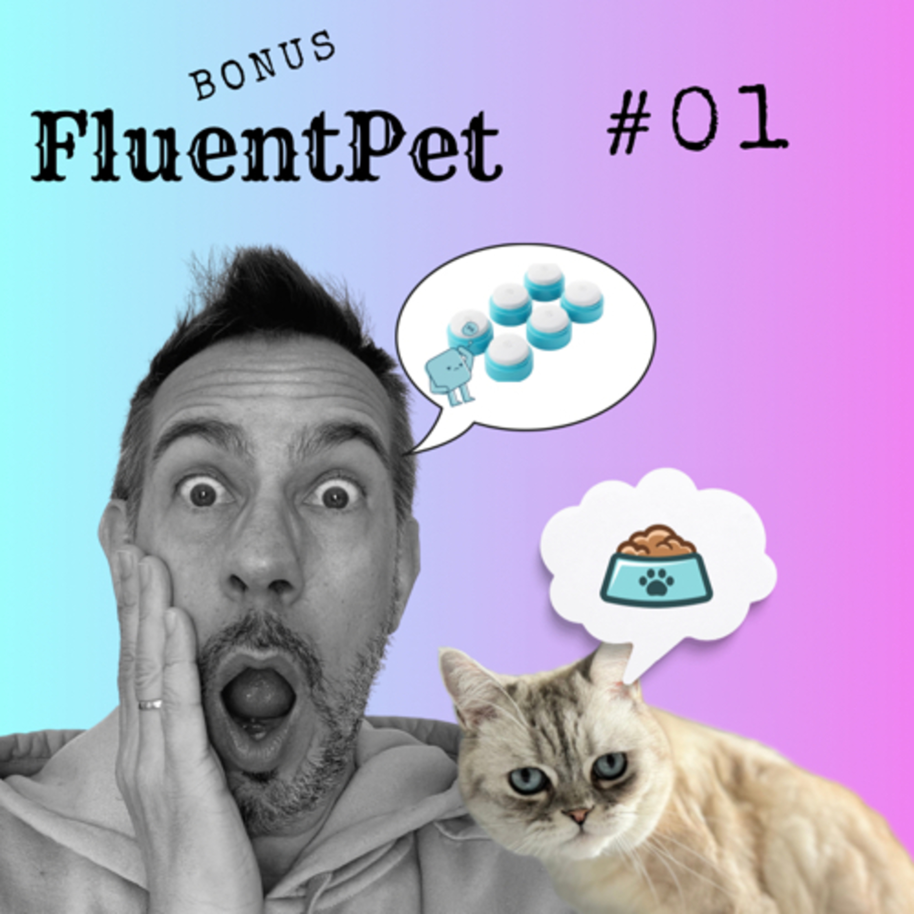 Le Mystère Miaou, un podcast de chats.