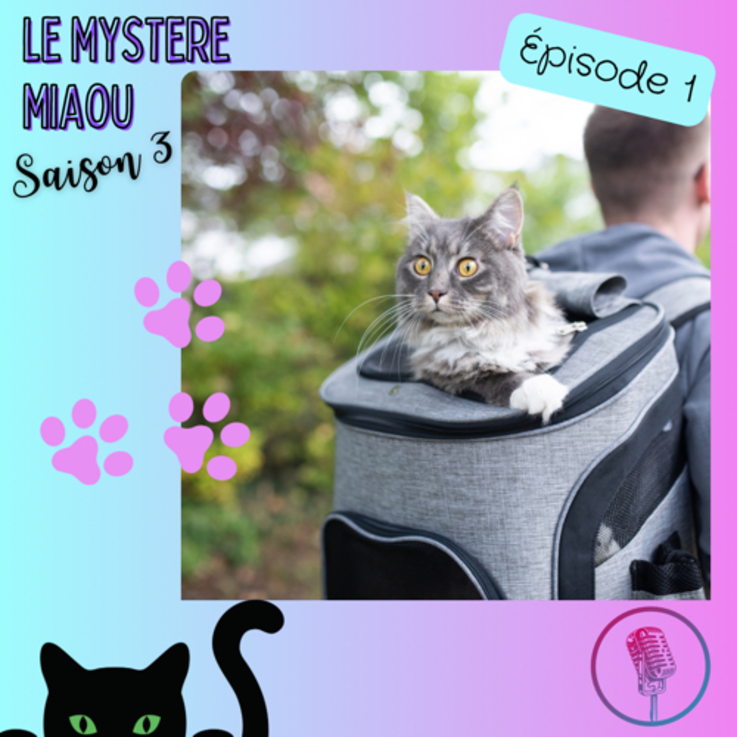 Le Mystère Miaou, un podcast de chats.