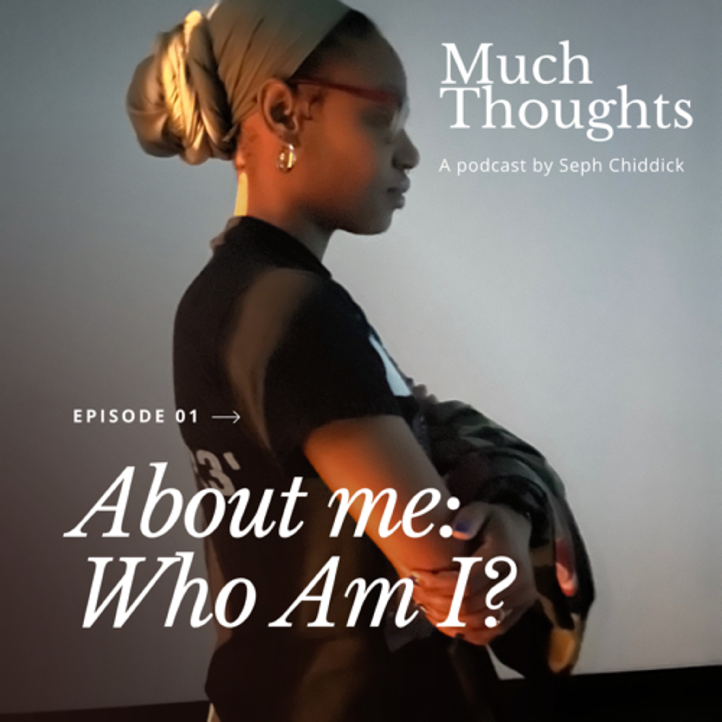 who am i? episode artwork