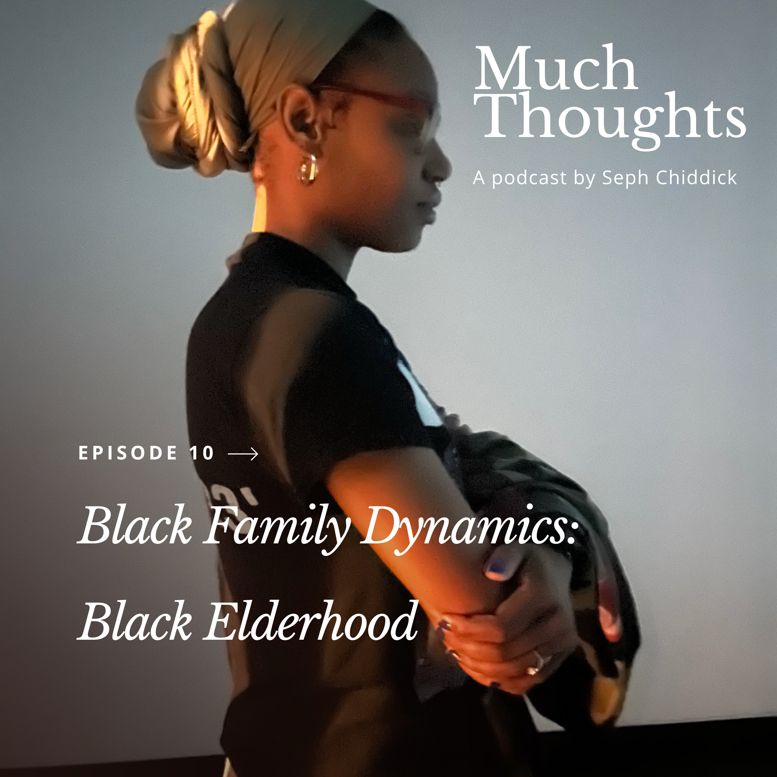 The Black Family Dynamics: Black Fatherhood.  episode artwork