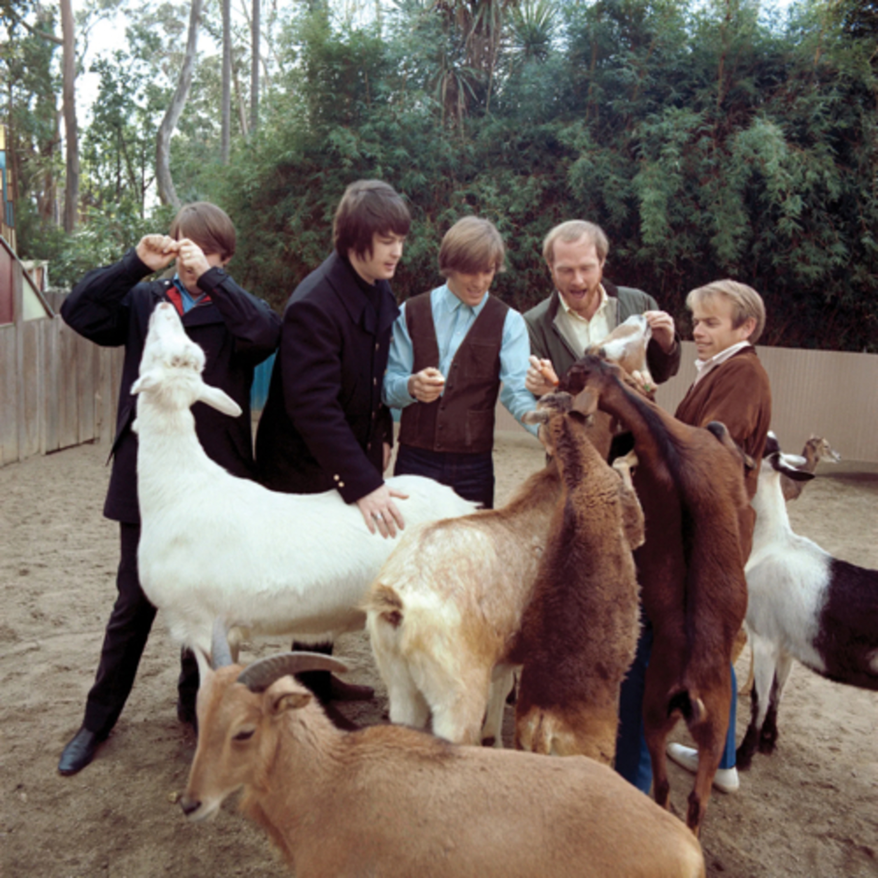Beach Boys - Pet Sounds (1966) episode artwork