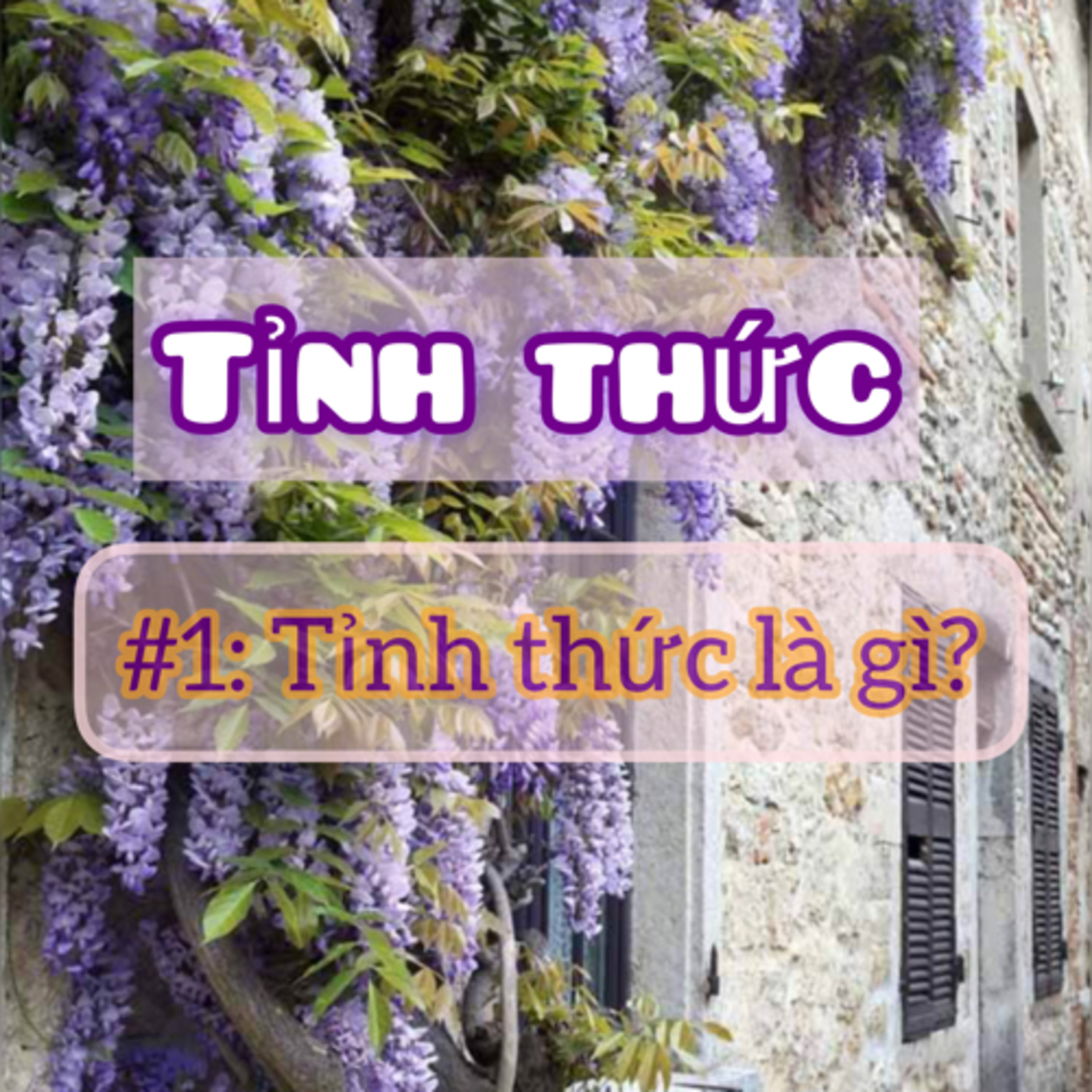 (Tỉnh thức) #1: Tỉnh thức là gì? episode artwork