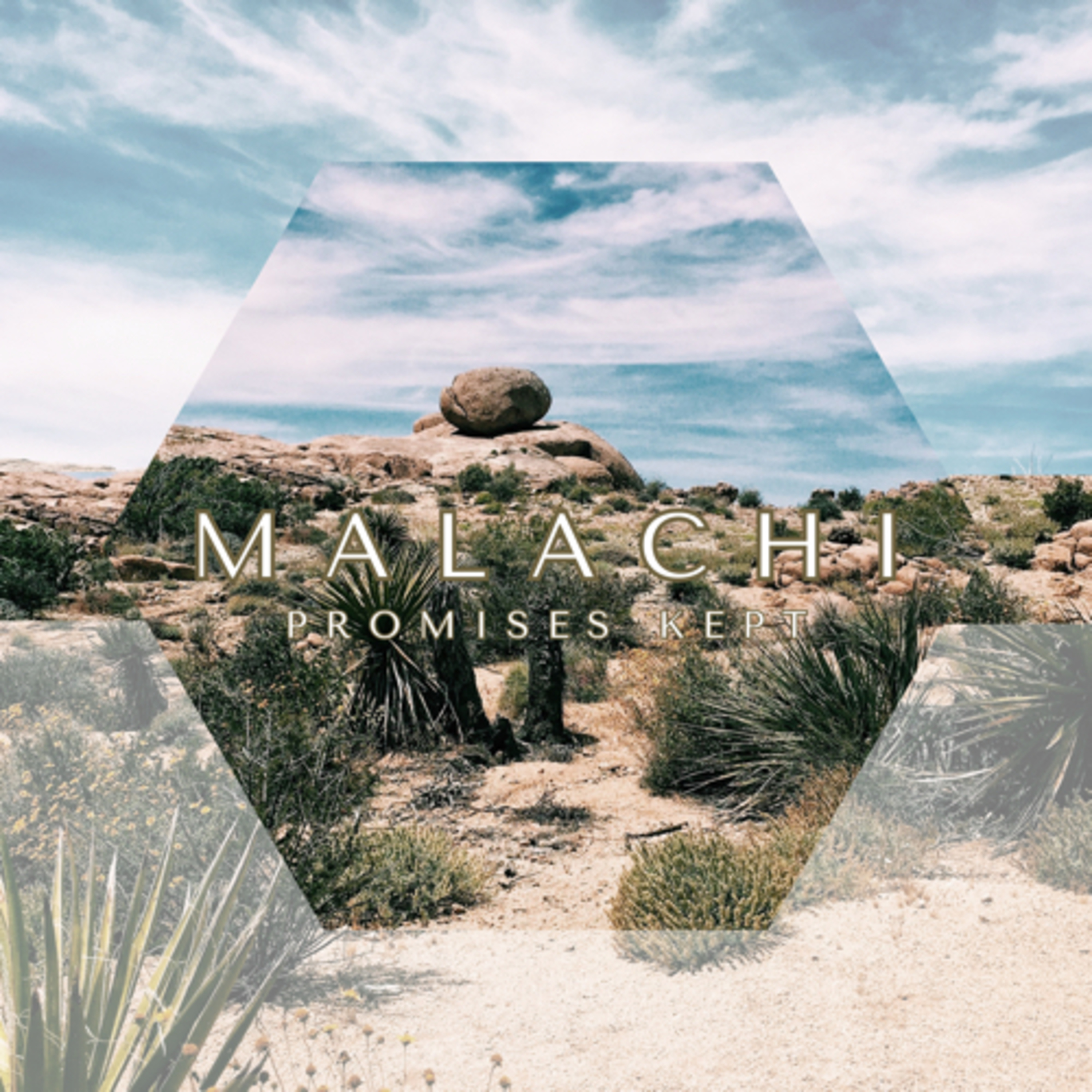 Malachi #8: A Variety of Treacheries - Marital Issues (Malachi 2:11-13) episode artwork