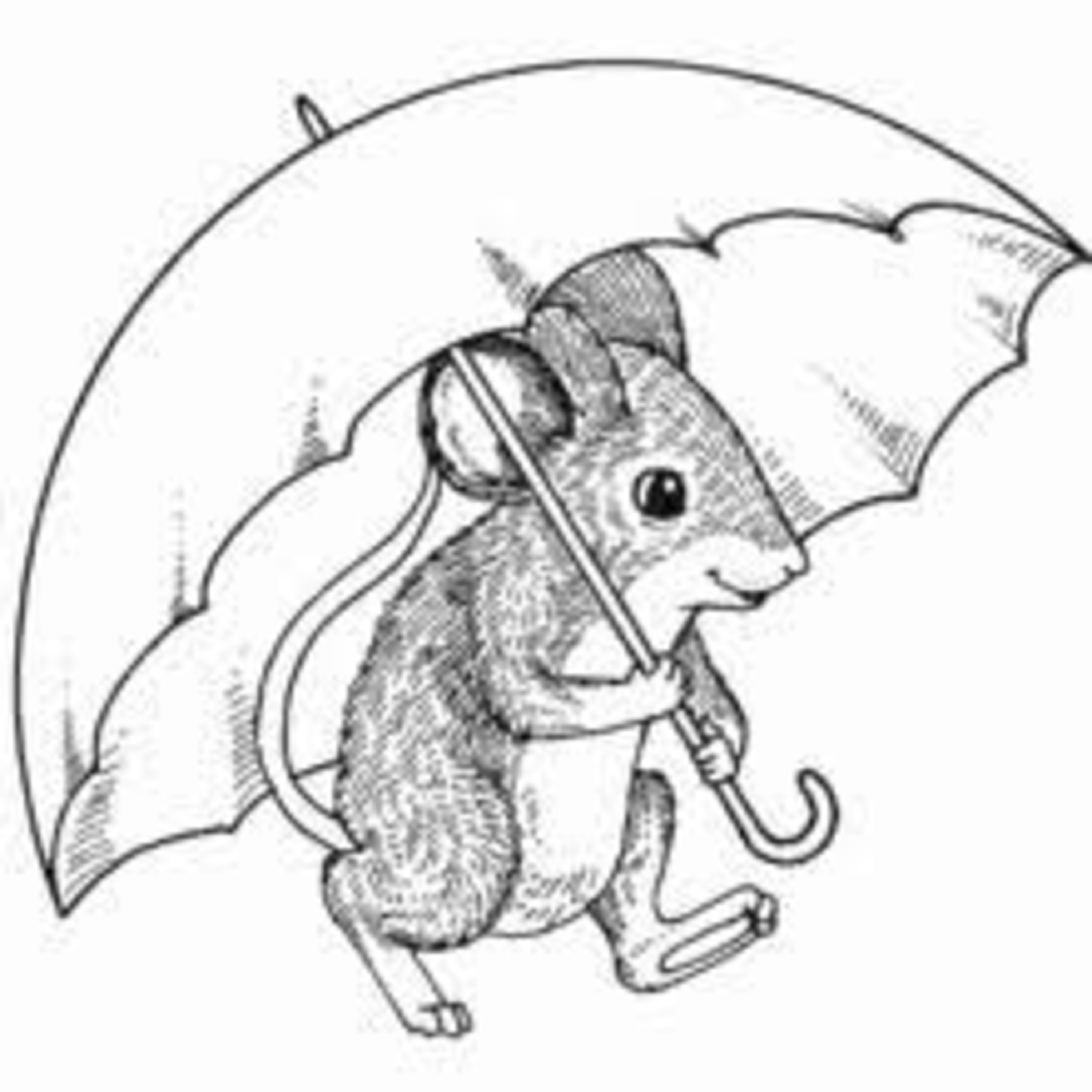 Audiolibros y Cuentos
