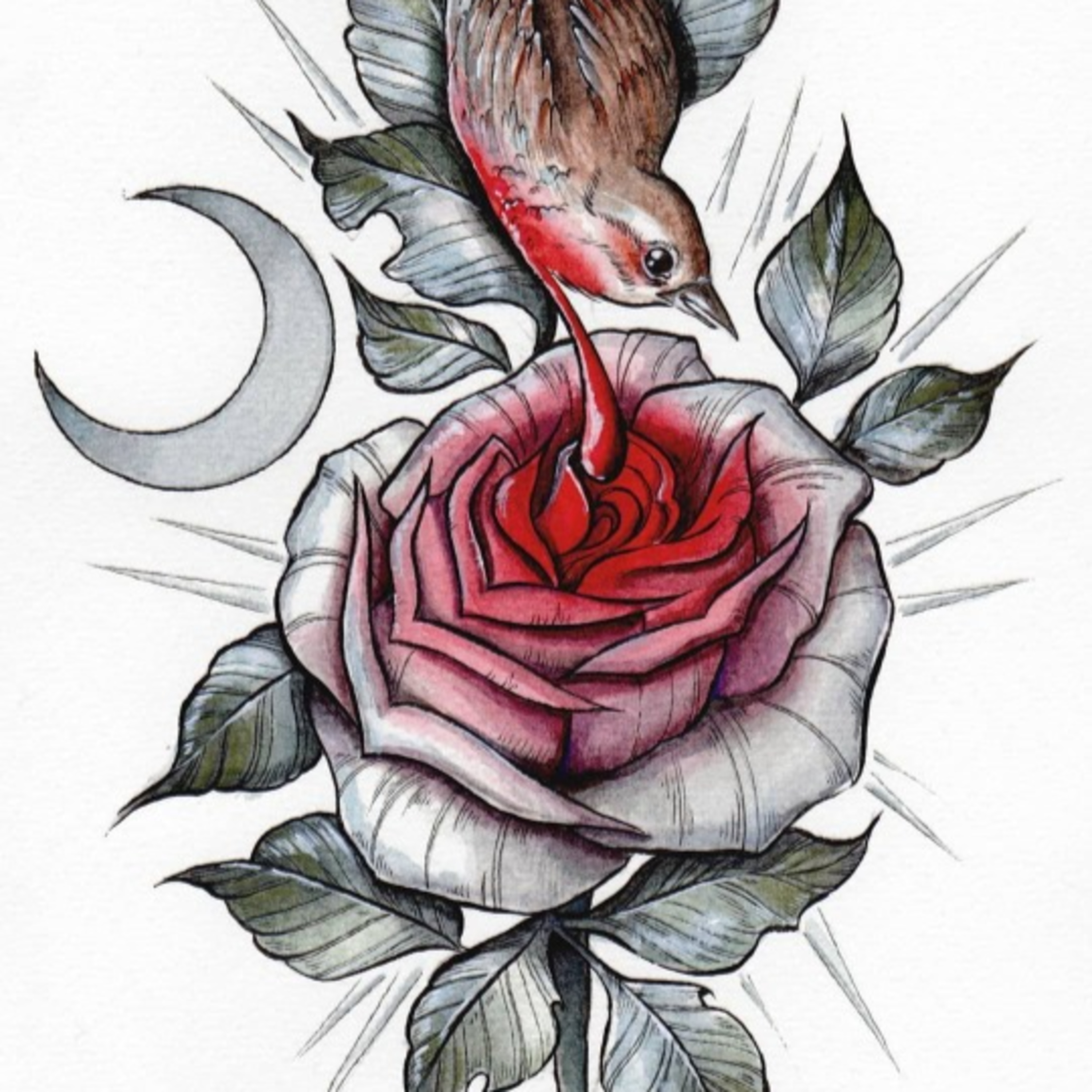 Audiolibros y Cuentos