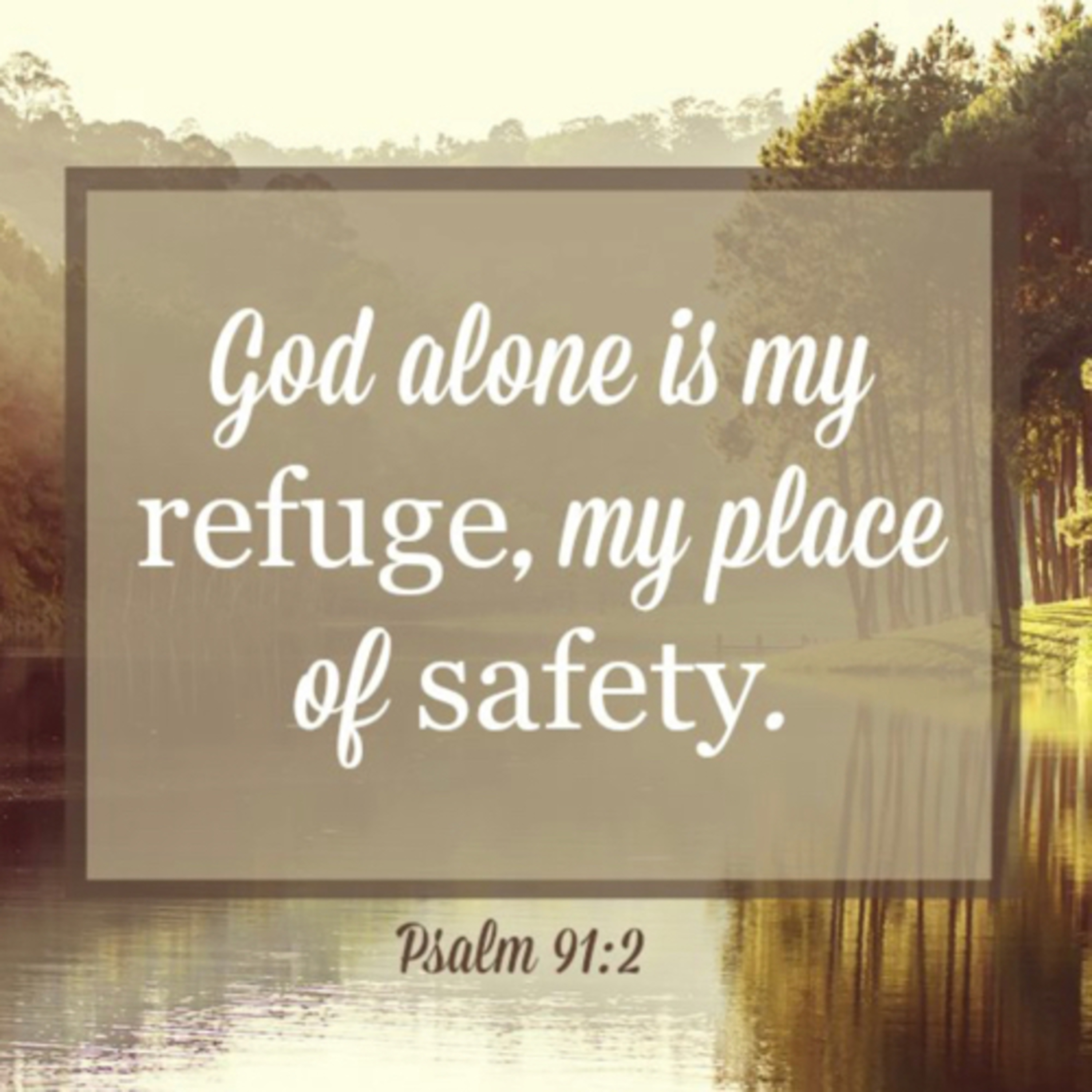 Finding peace and comfort in troublesome times. 