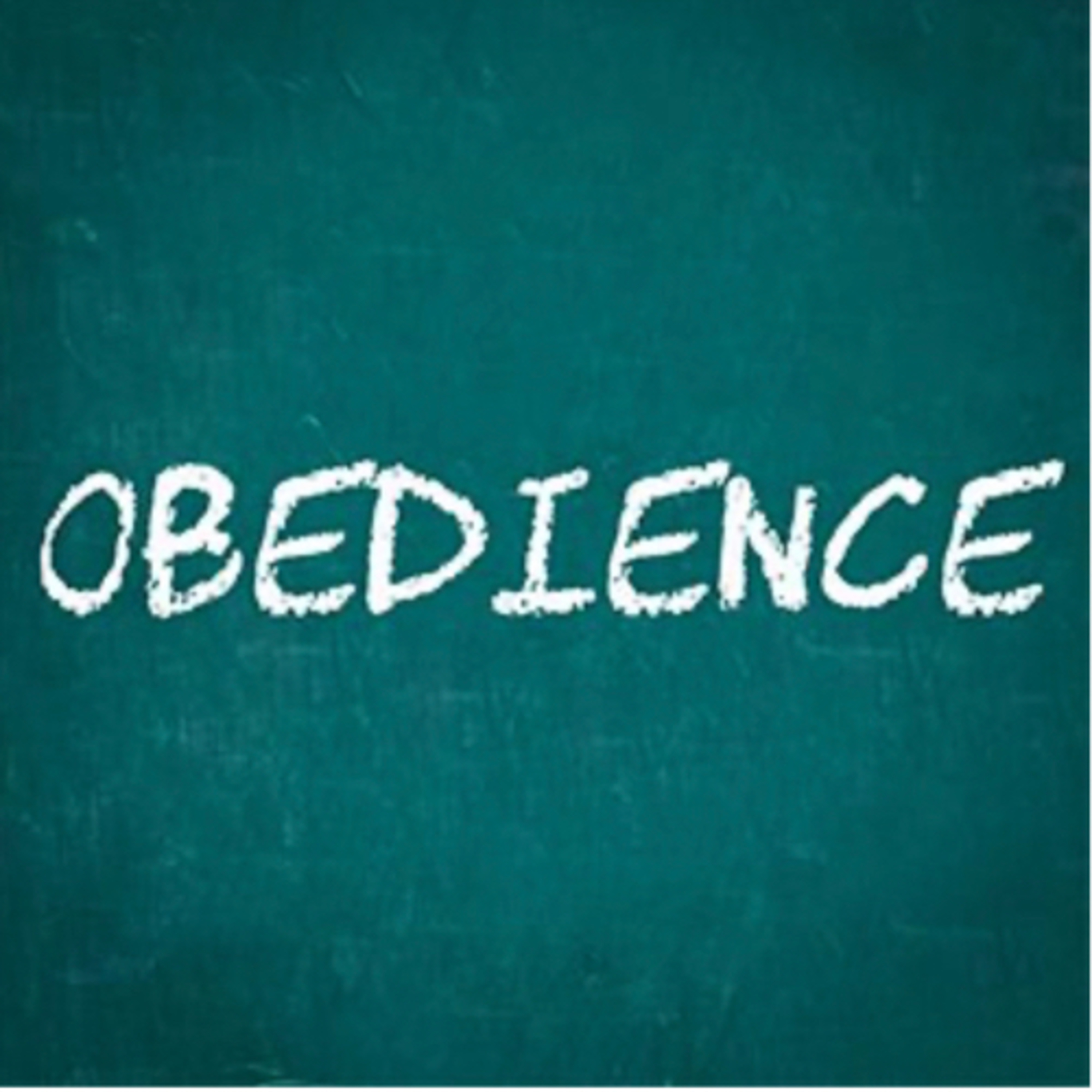 Is the Church willing and obedient? 