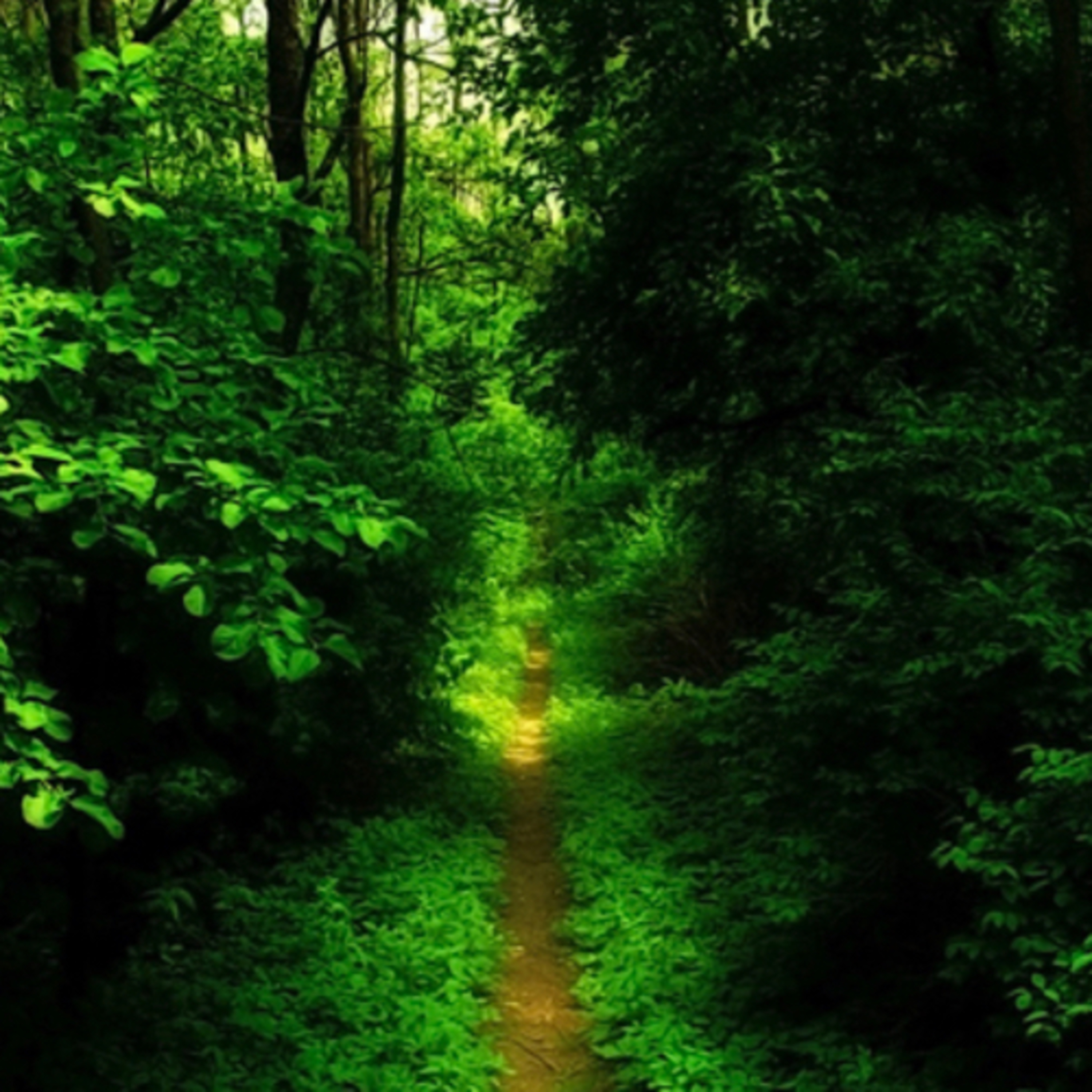 Straight and Narrow 