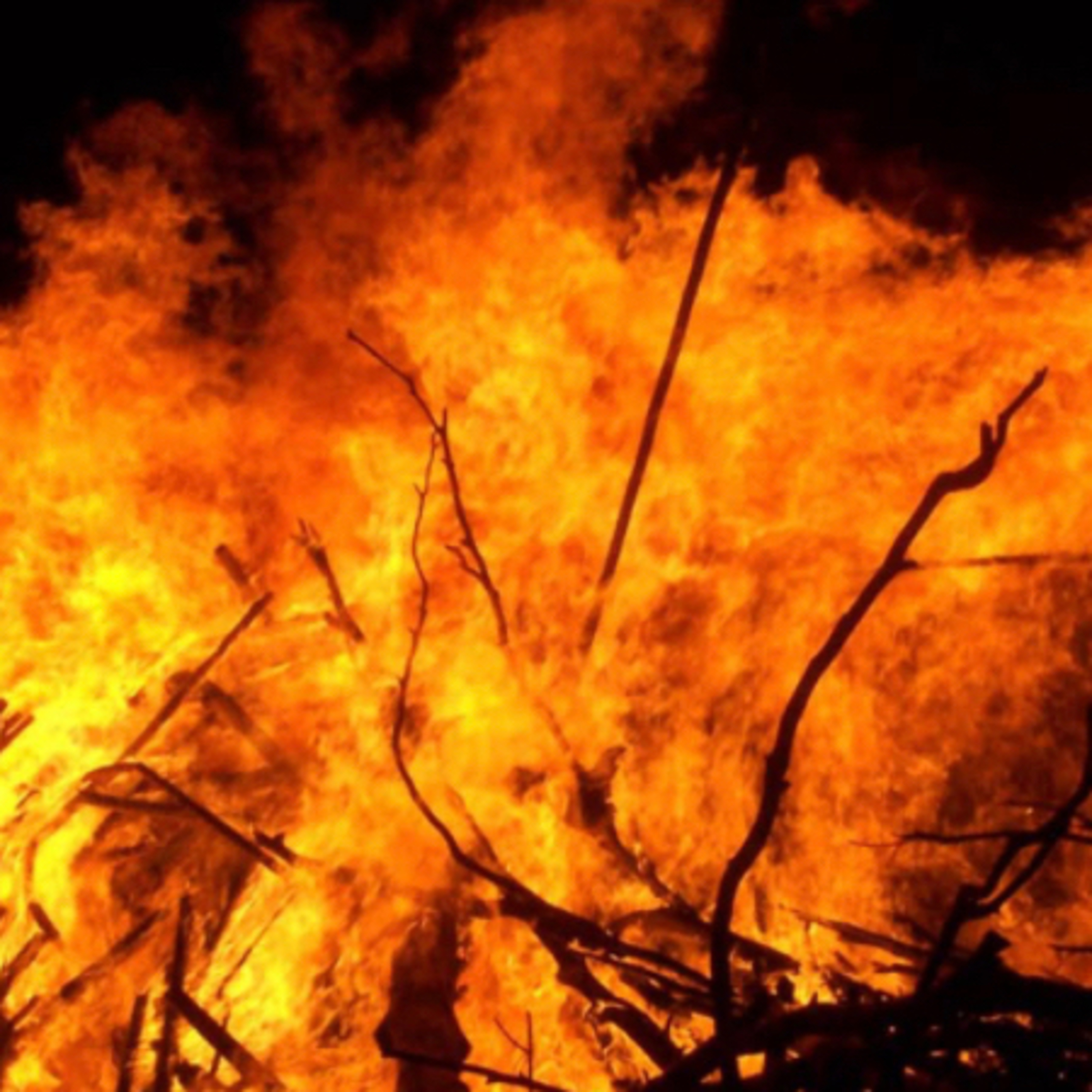 The Purpose of the fiery trial 