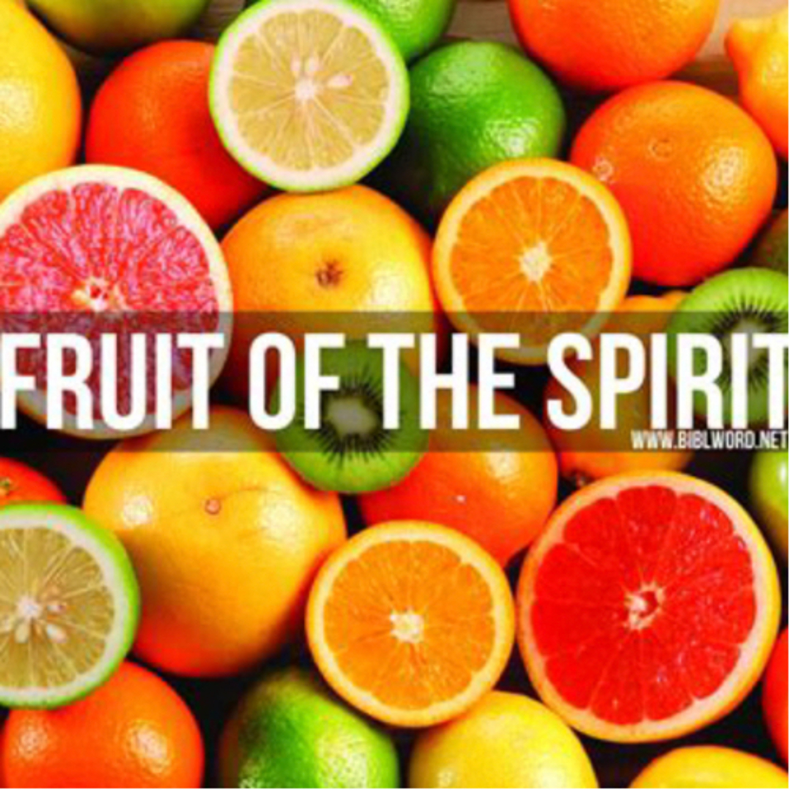 Bible Study “Fruit of the Spirit” part 4