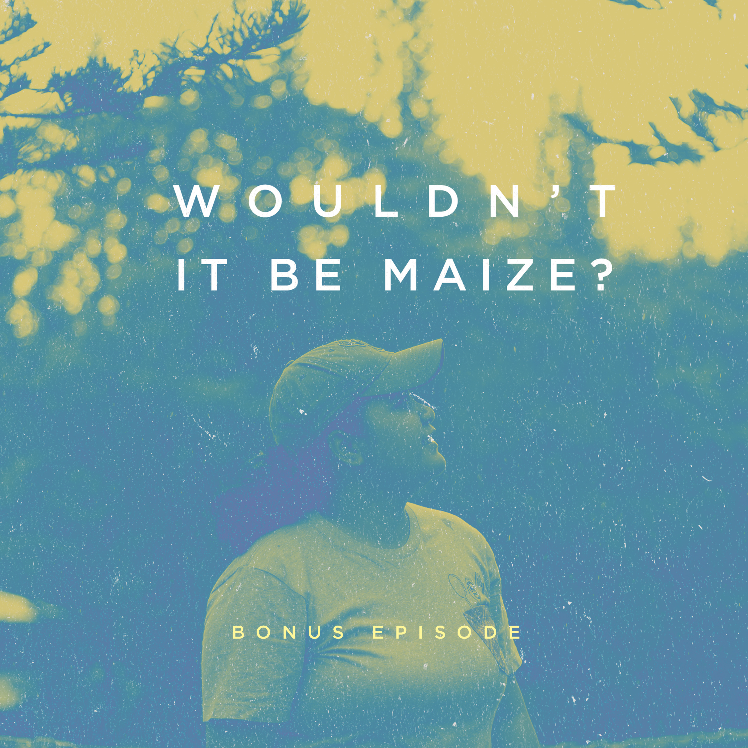 Wouldn\'t It Be Maize?