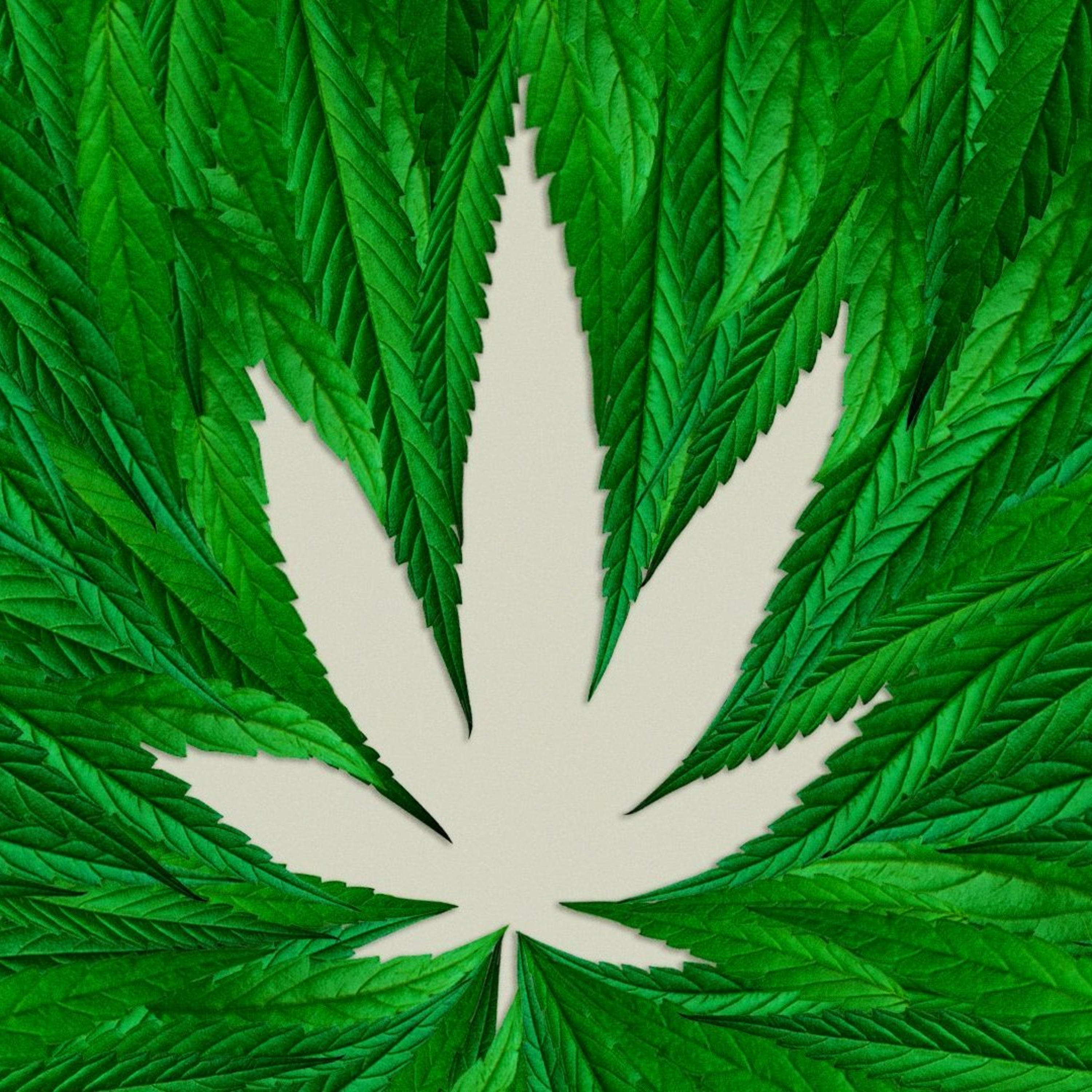 Let The Record Reflect Podcast