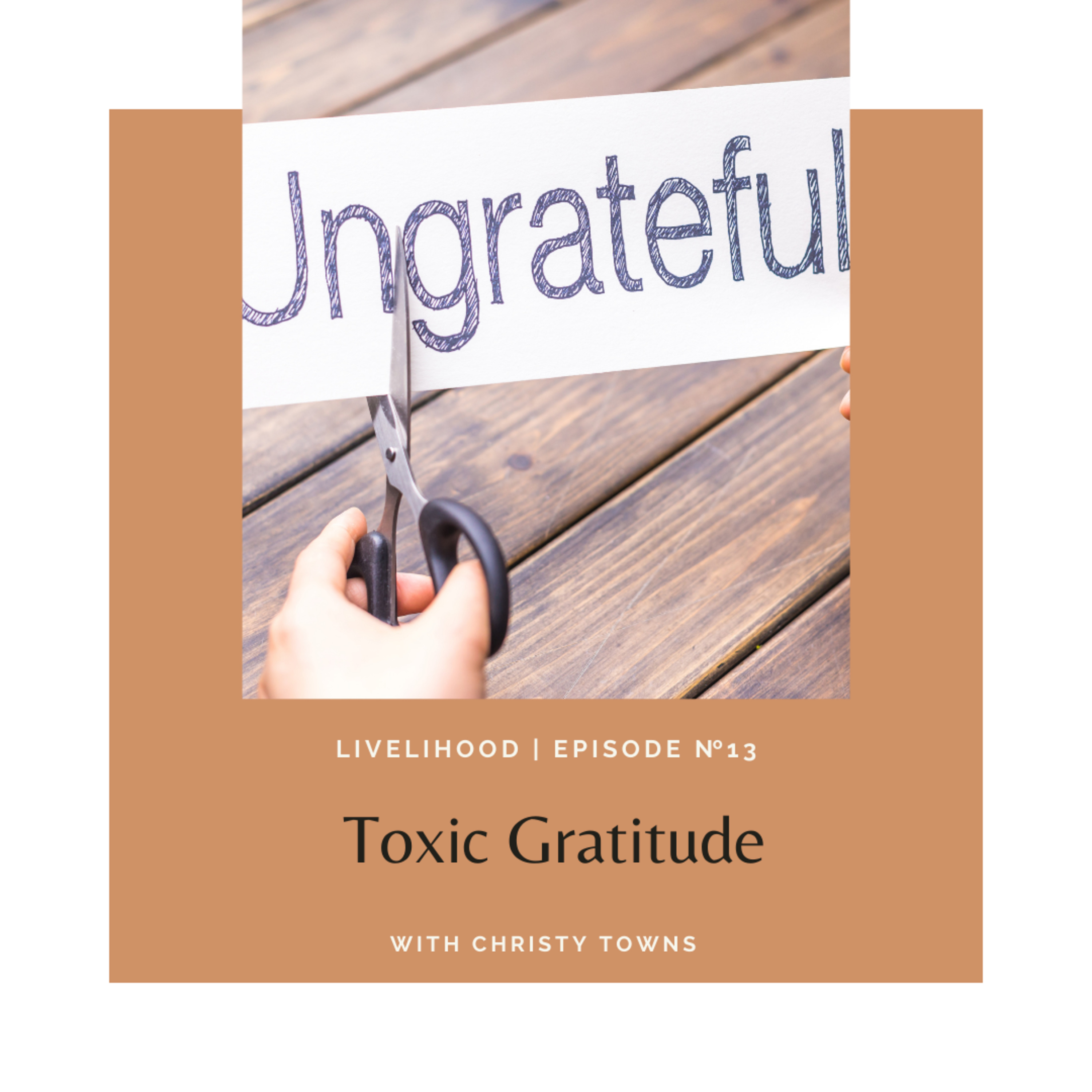 Toxic Gratitude episode artwork