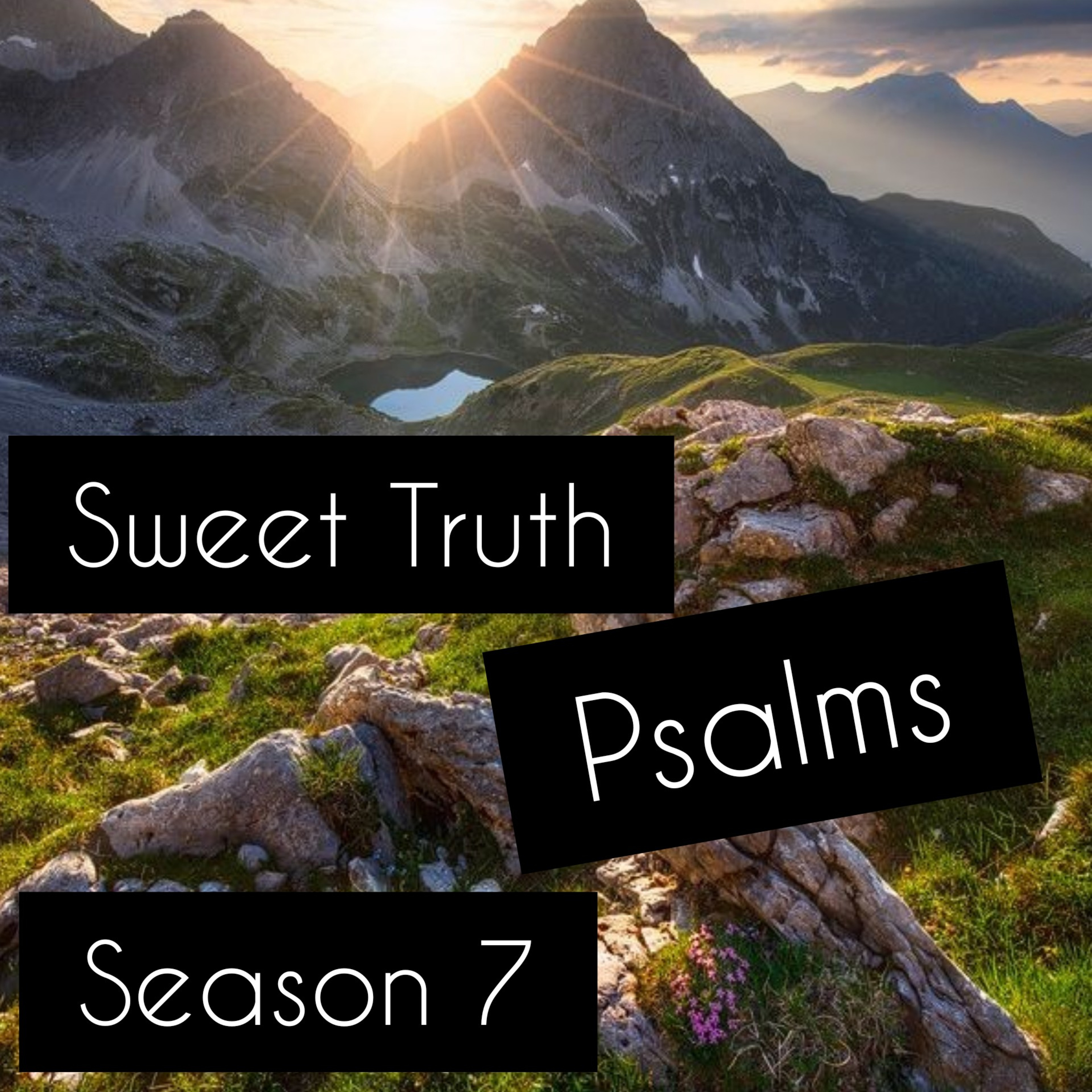Psalm 1:1-6 episode artwork