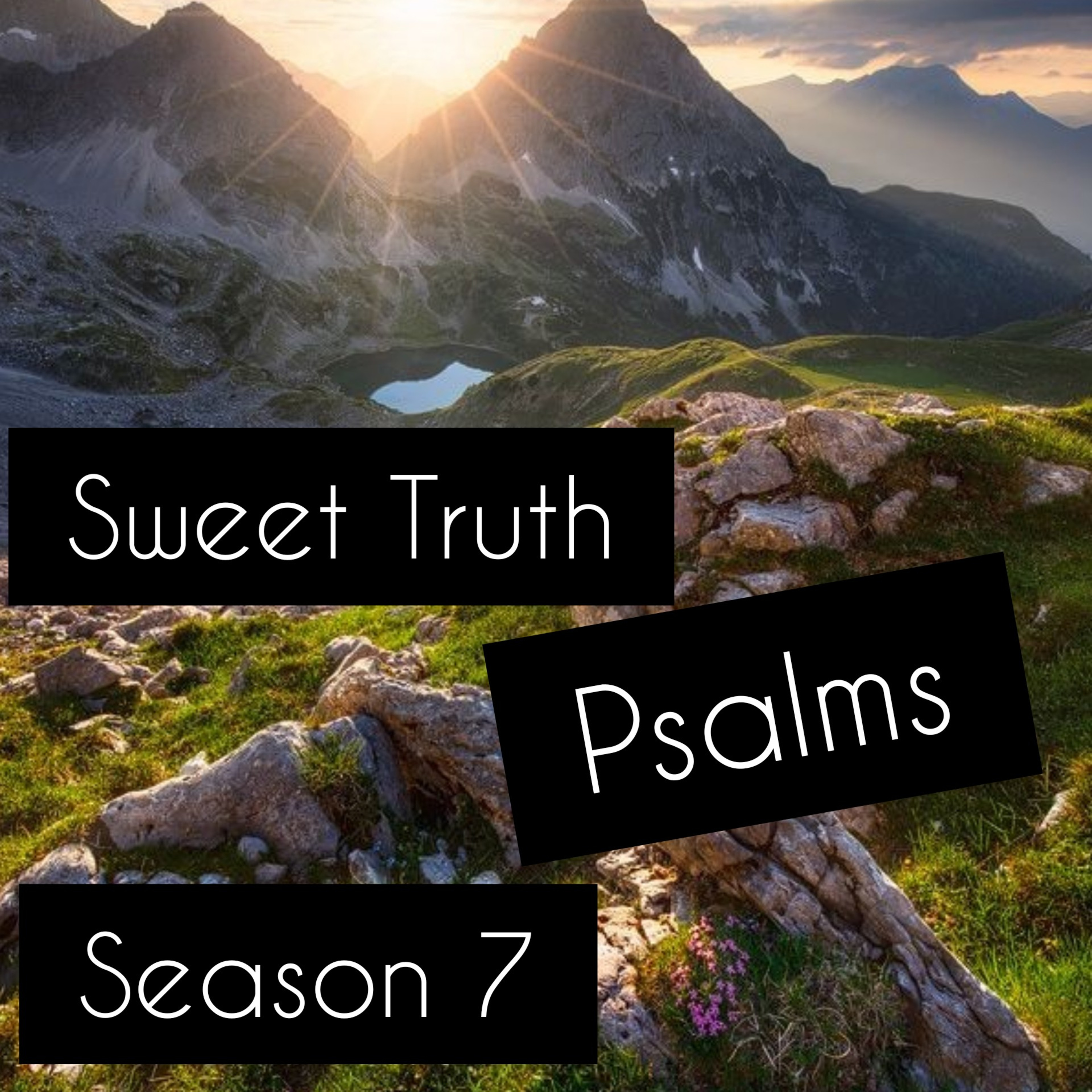 Sweet Truth Podcast
