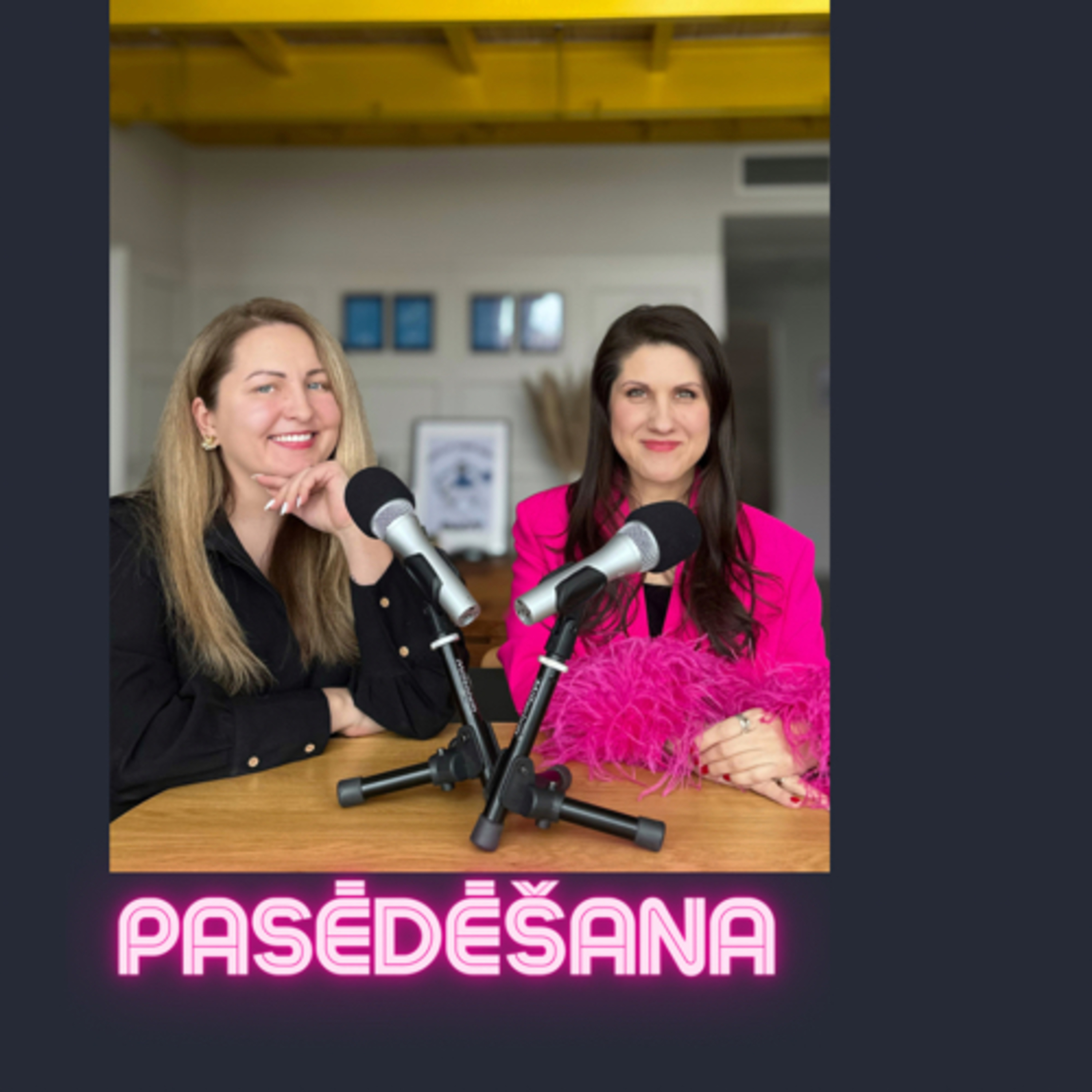 #8 PASĒDĒŠANA ar Paulu un GUNDEGU ROZI episode artwork