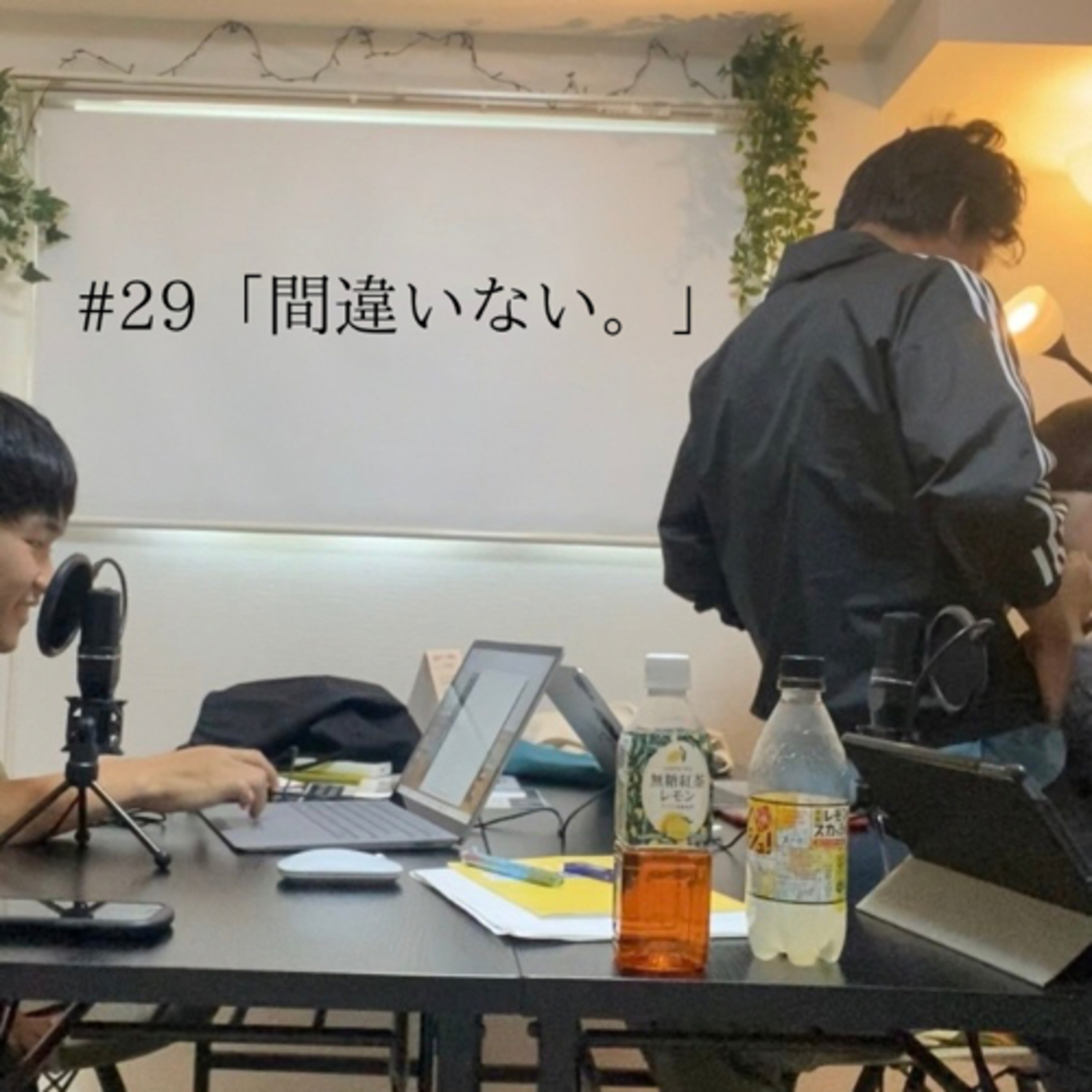 #29 「間違いない。」 episode artwork