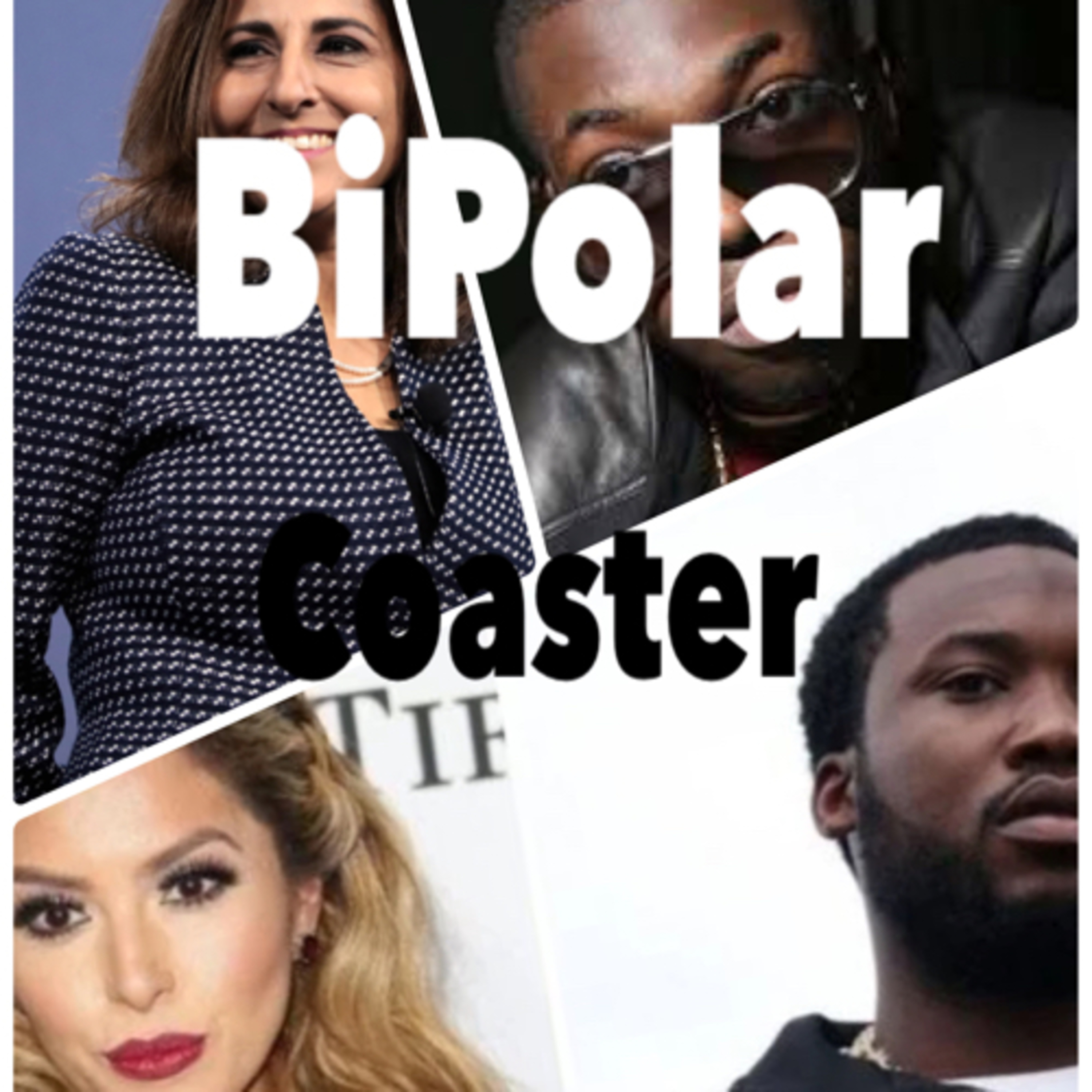 BiPolar Coaster