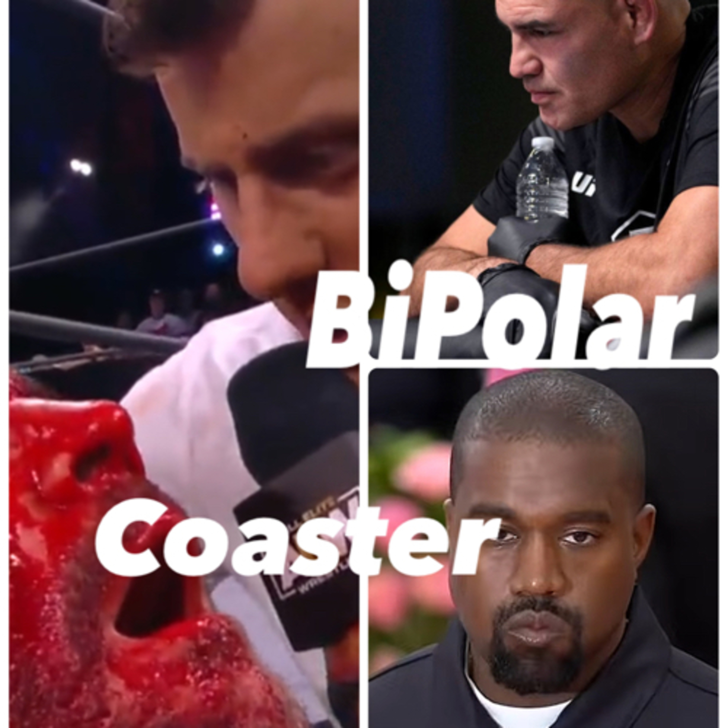 BiPolar Coaster