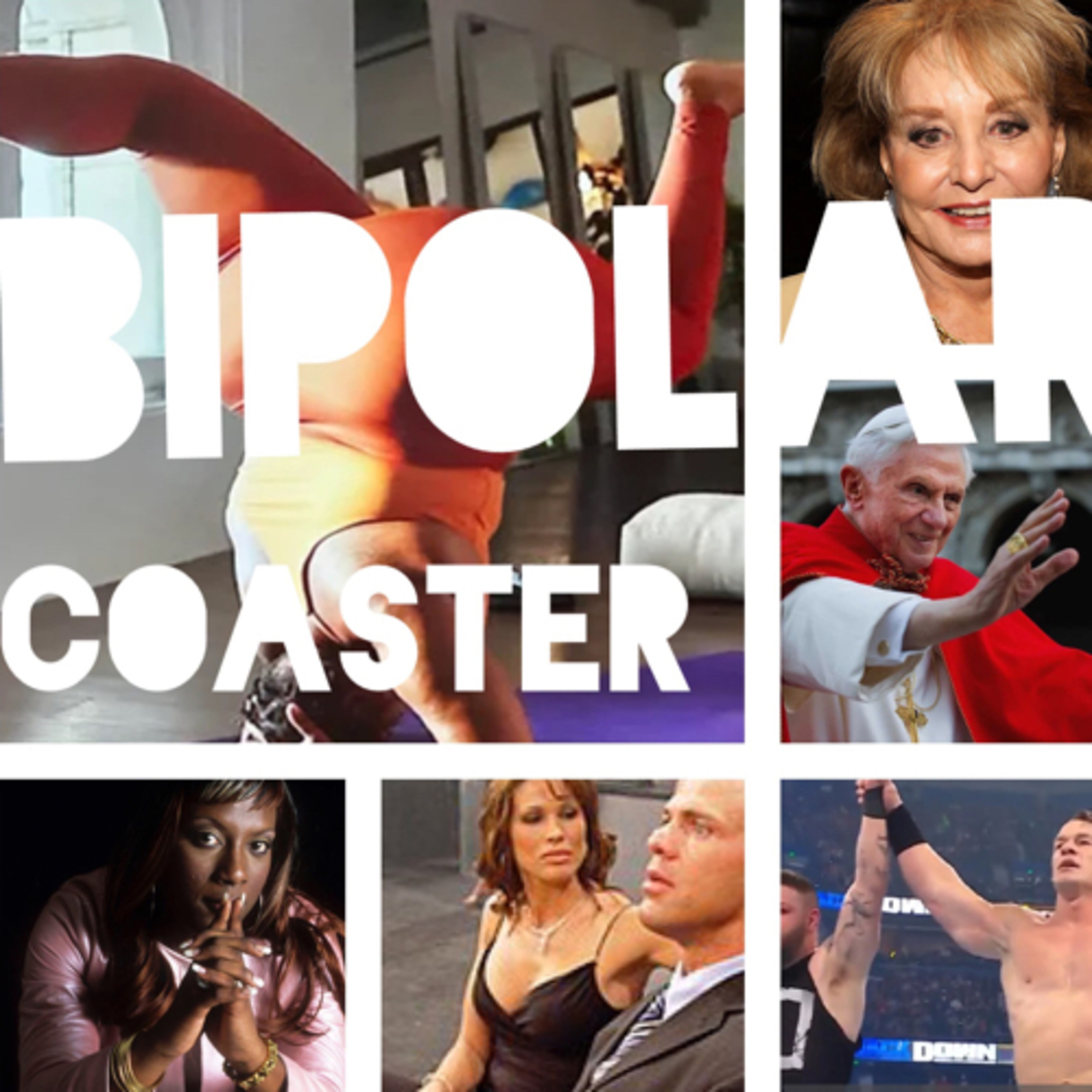 BiPolar Coaster