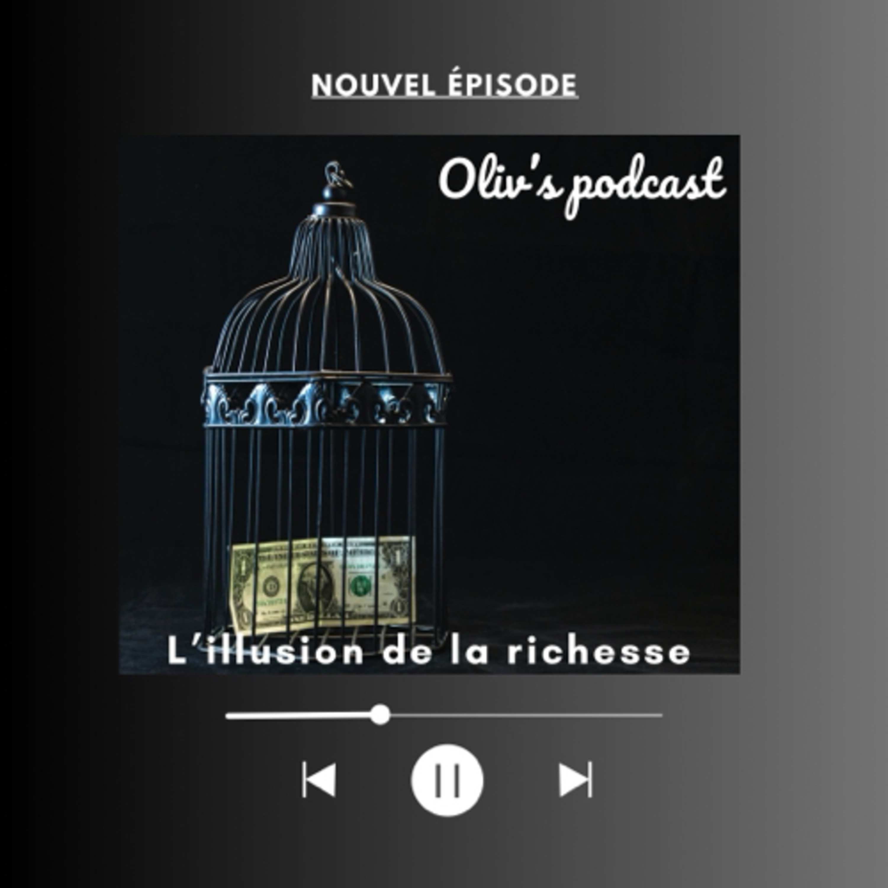 L’illusion de la richesse  episode artwork