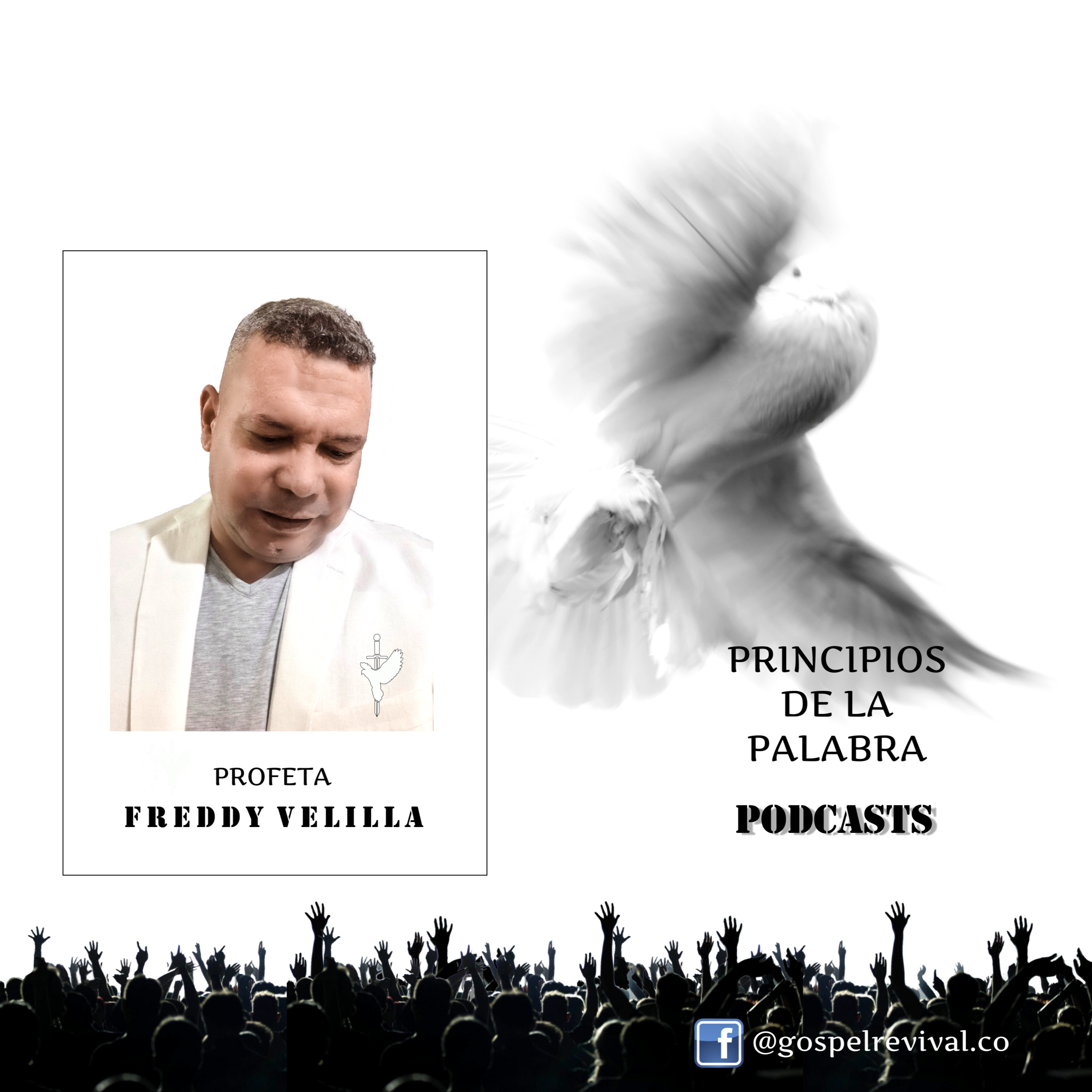 Principios De La Palabra
