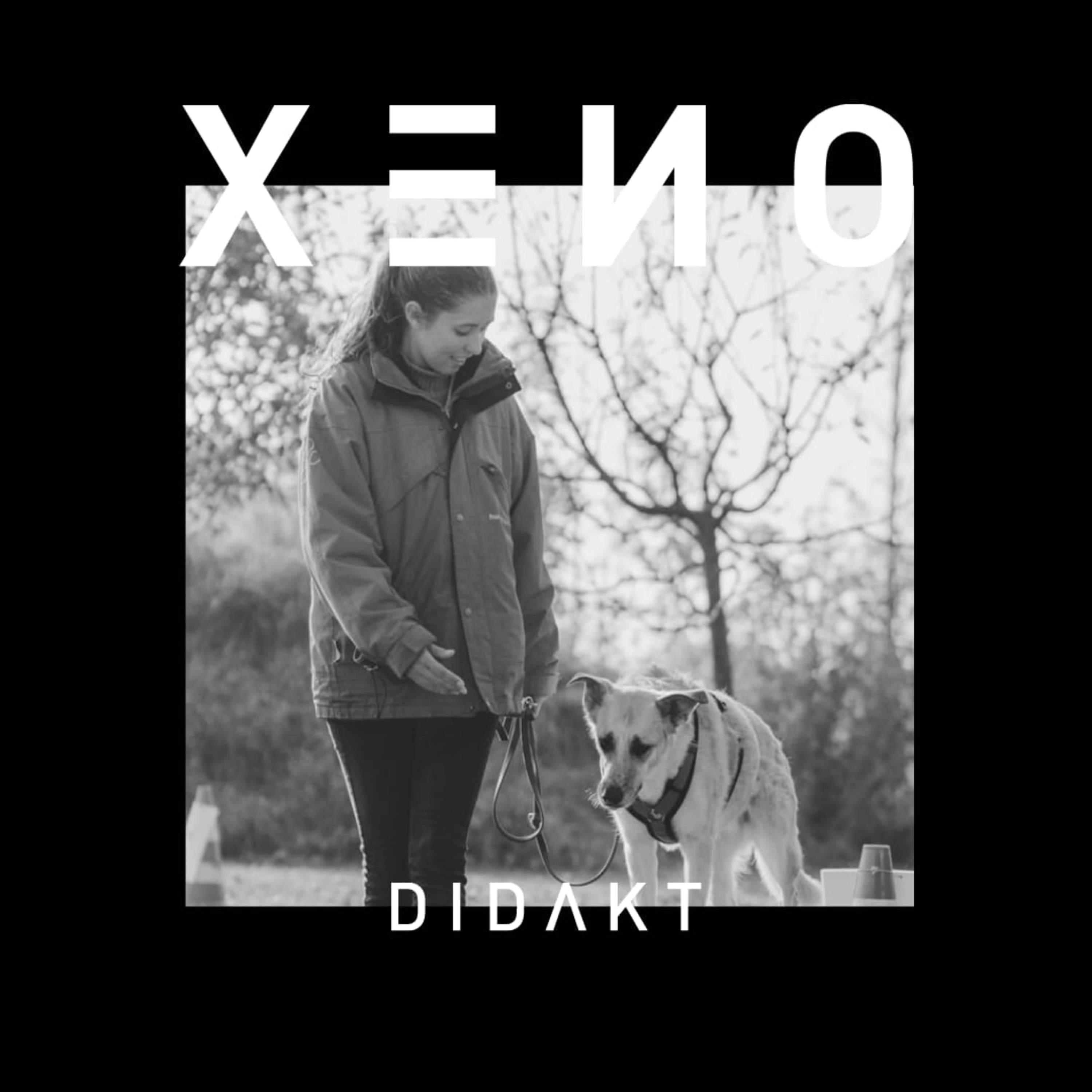 XENODIDAKT | Hunde, Träume, Motivation & die Theorie des Glücklichseins