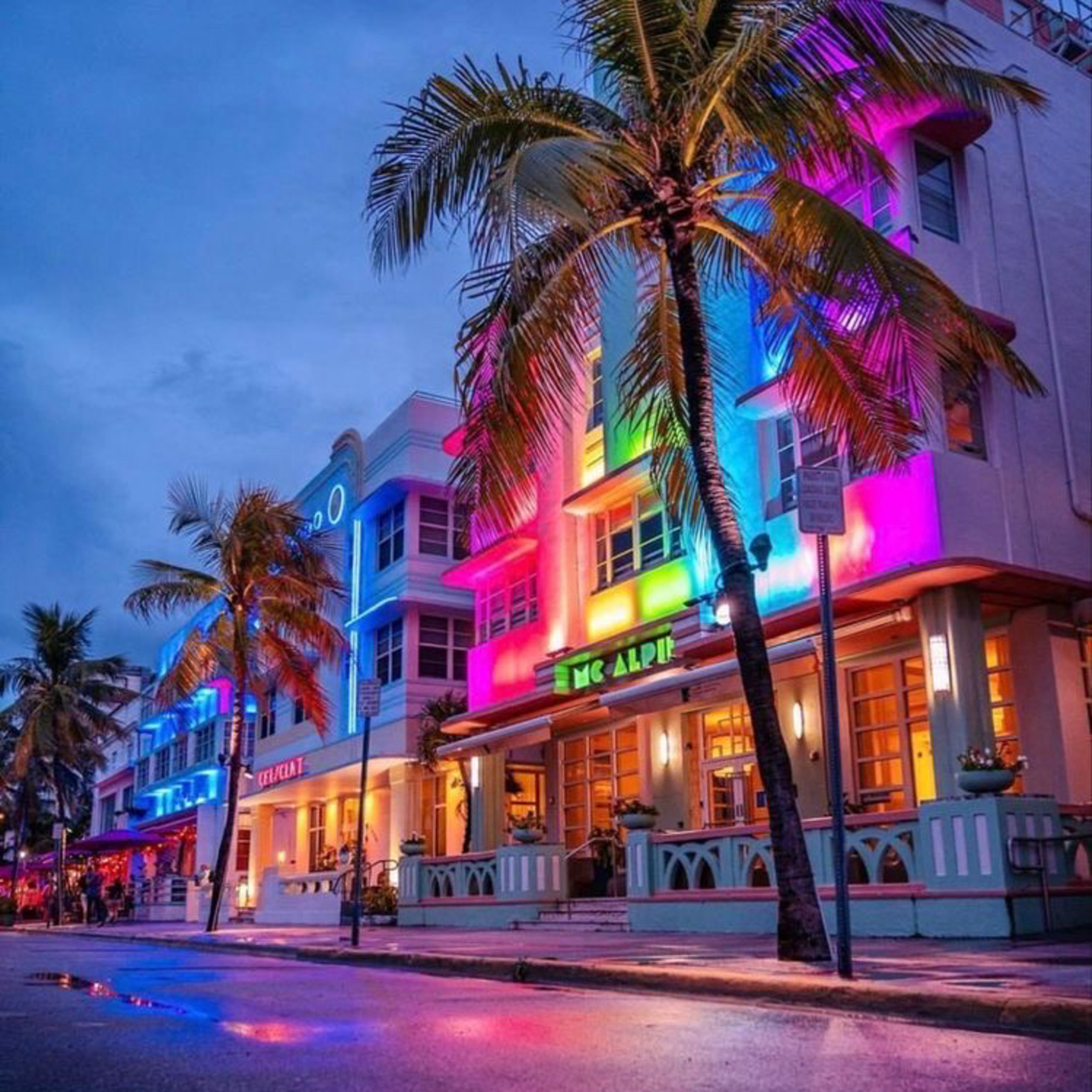 Tampa FL Raw