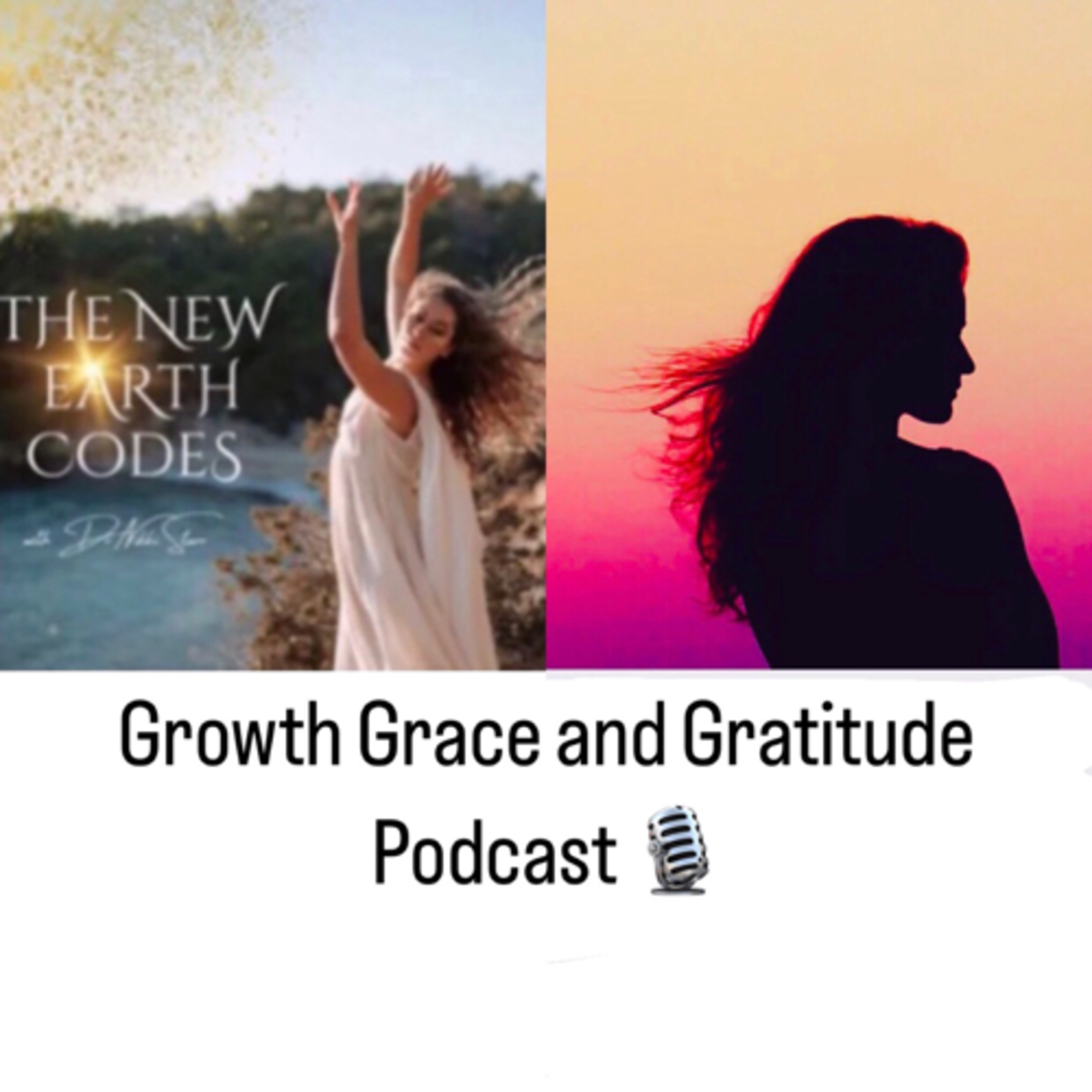 The Journey to Sacred Union - Intimacy, Money Blocks, & Spirit Guides/Animals with Dr. Nikki Starr episode artwork