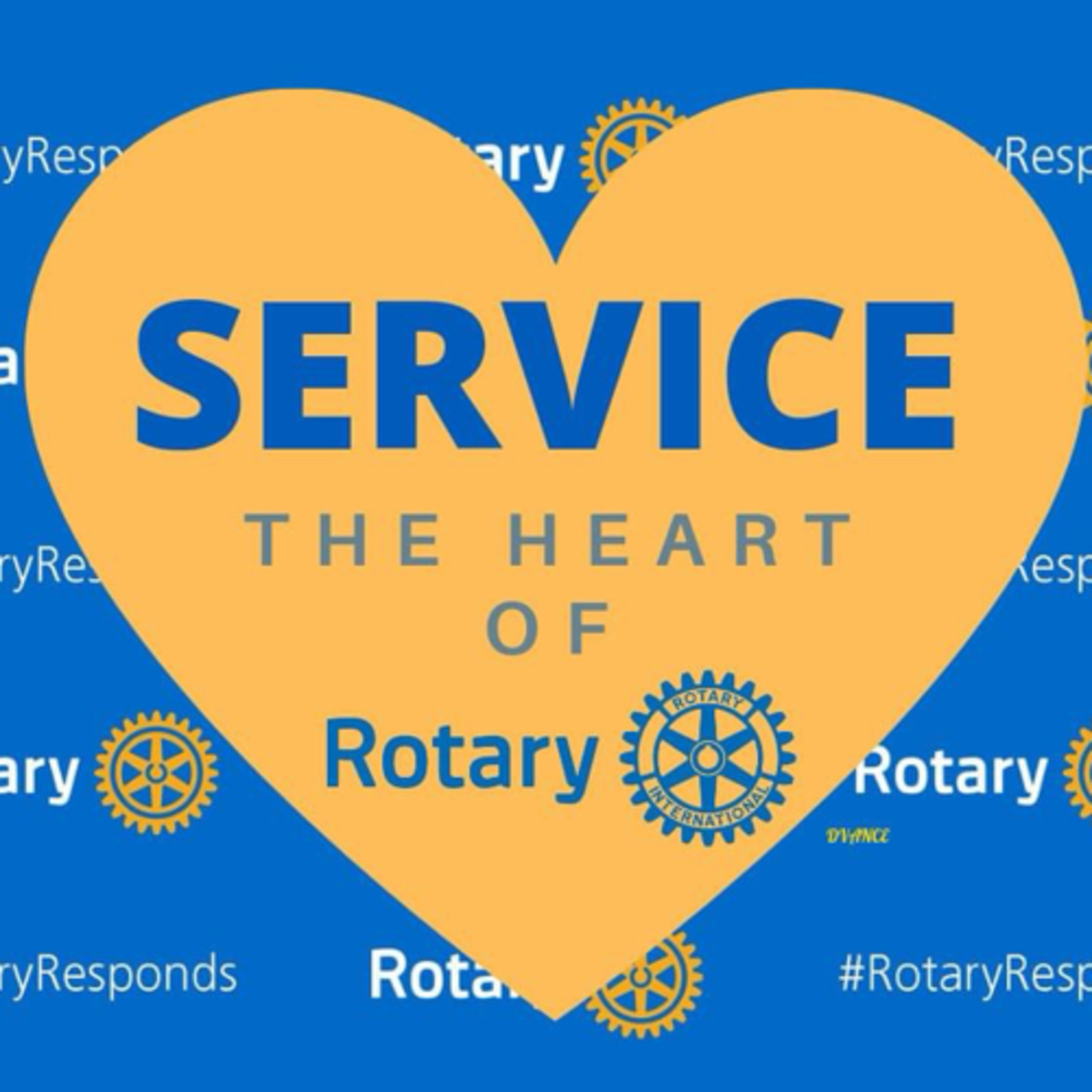 Rotary Insight - auf den Spuren weltweiter Gemeinschaft.