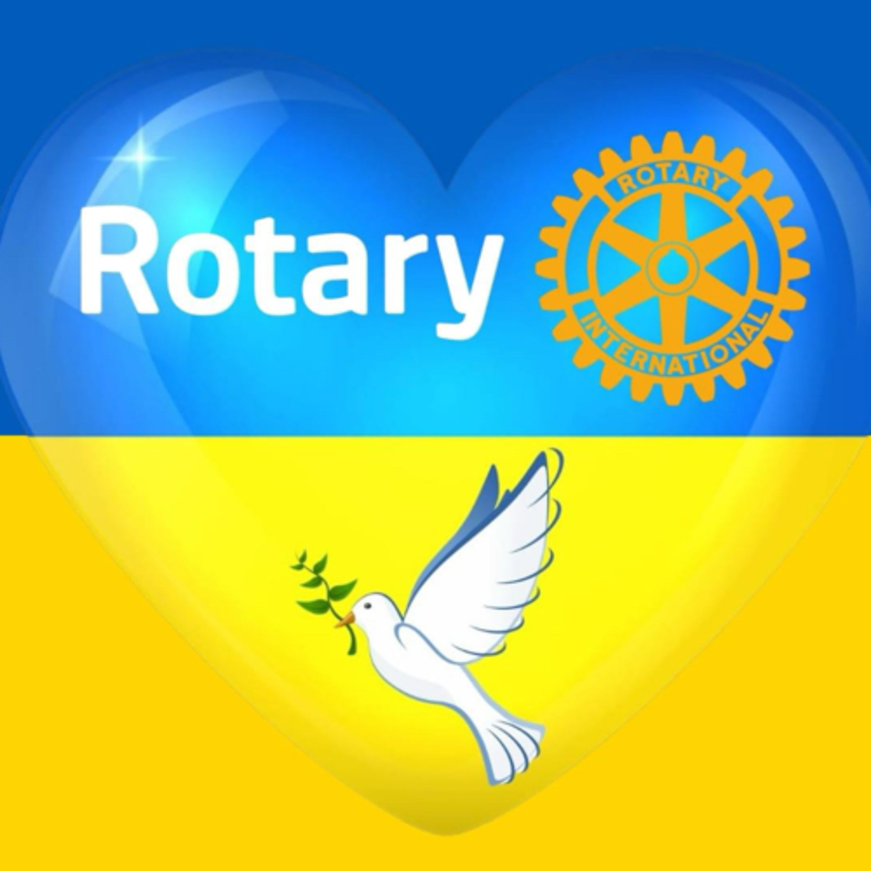 Rotary Insight - auf den Spuren weltweiter Gemeinschaft.