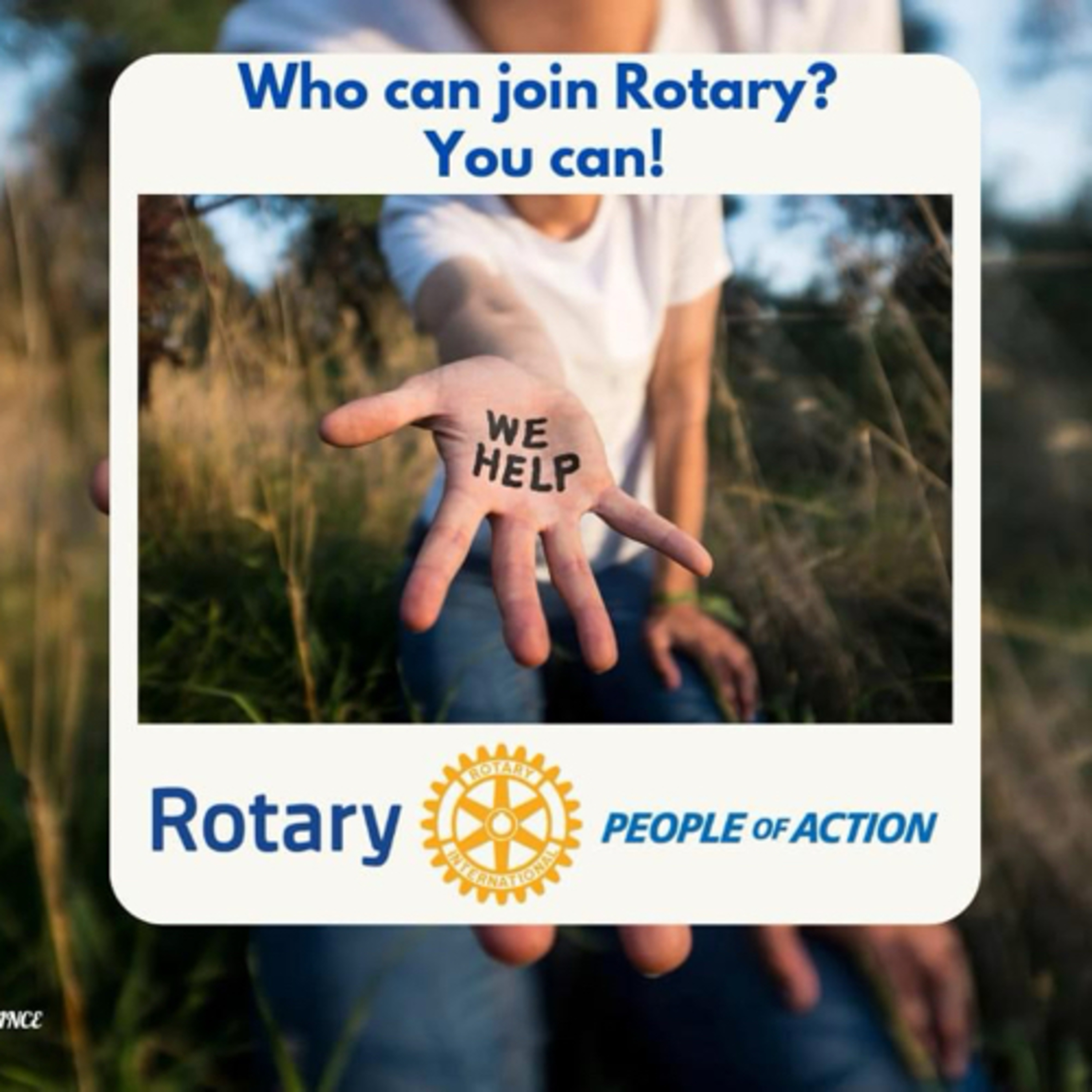 Rotary Insight - auf den Spuren weltweiter Gemeinschaft.