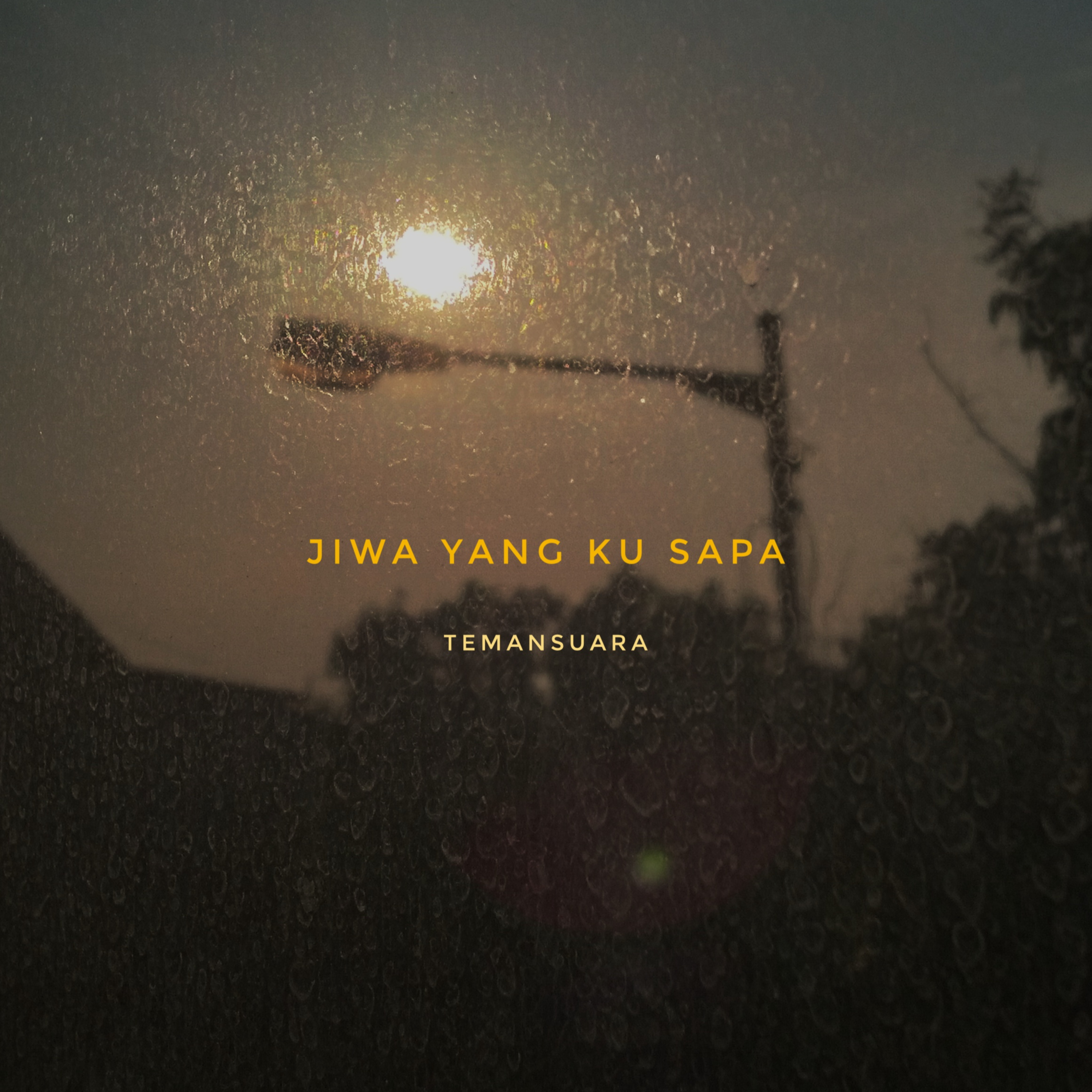 temanSuara