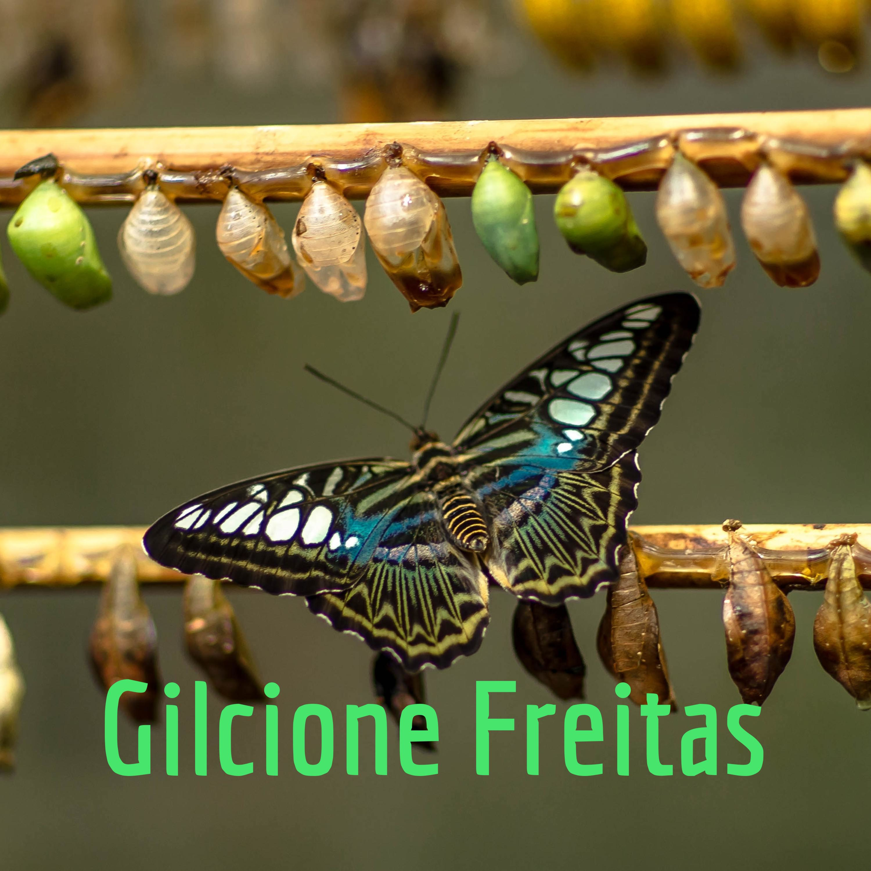 Gilcione Freitas
