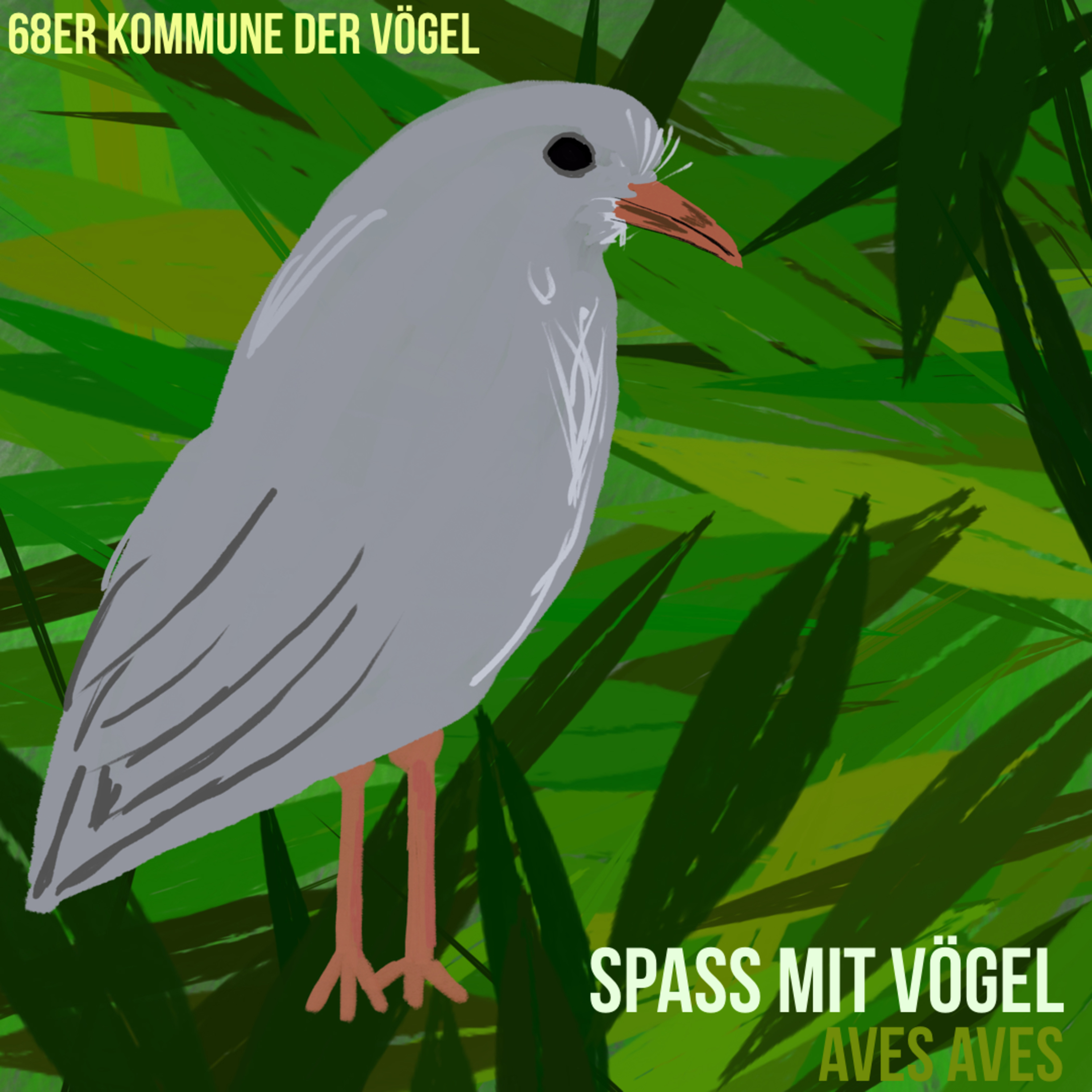 Aves Aves - Spass mit Vögel