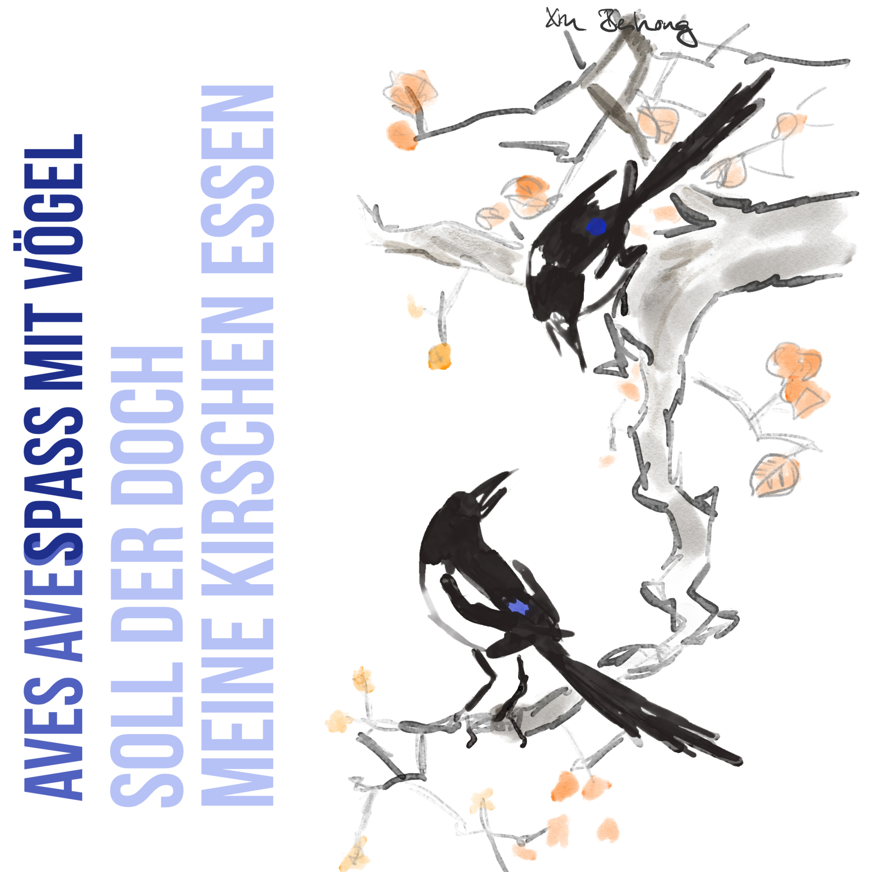 Aves Aves - Spass mit Vögel