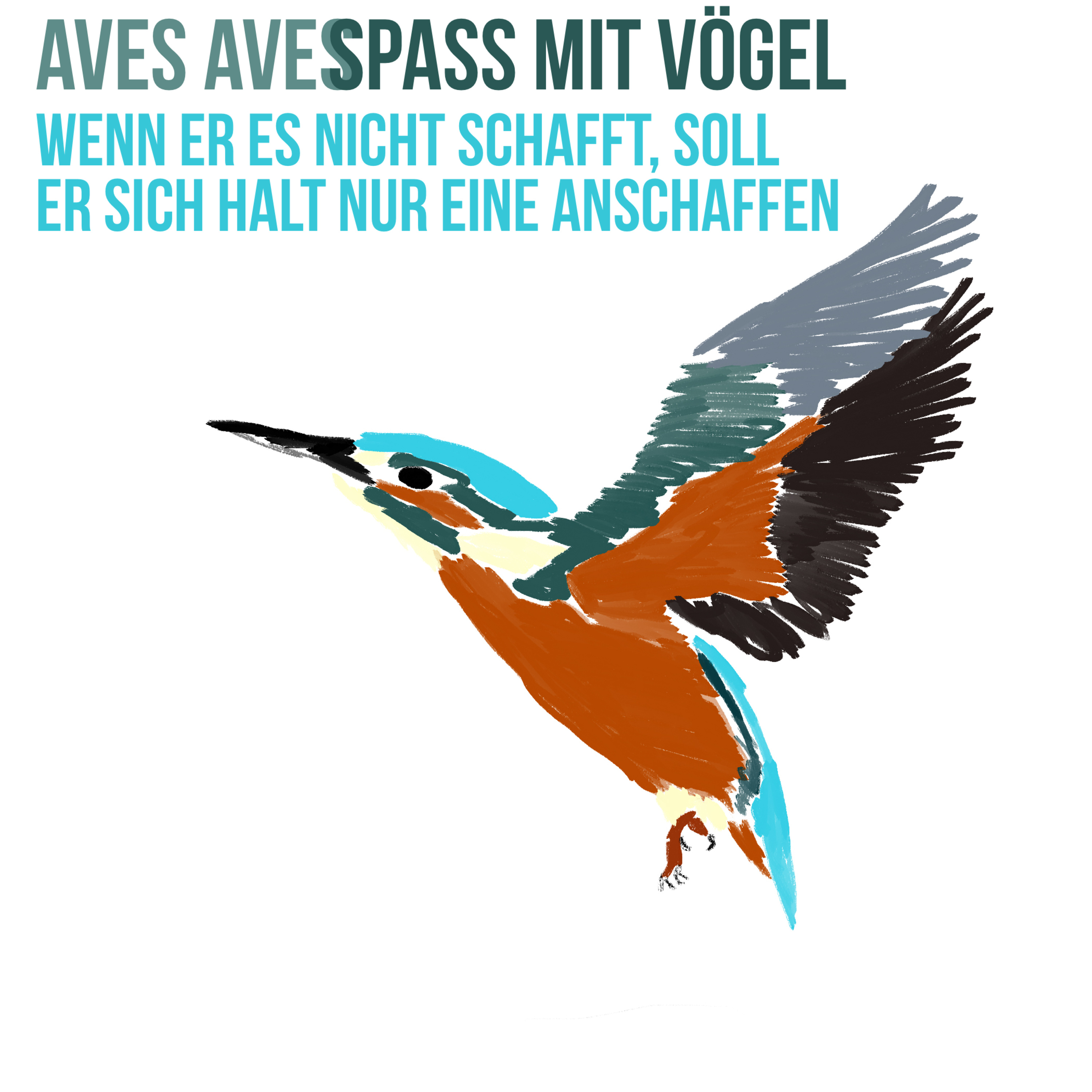 Aves Aves - Spass mit Vögel