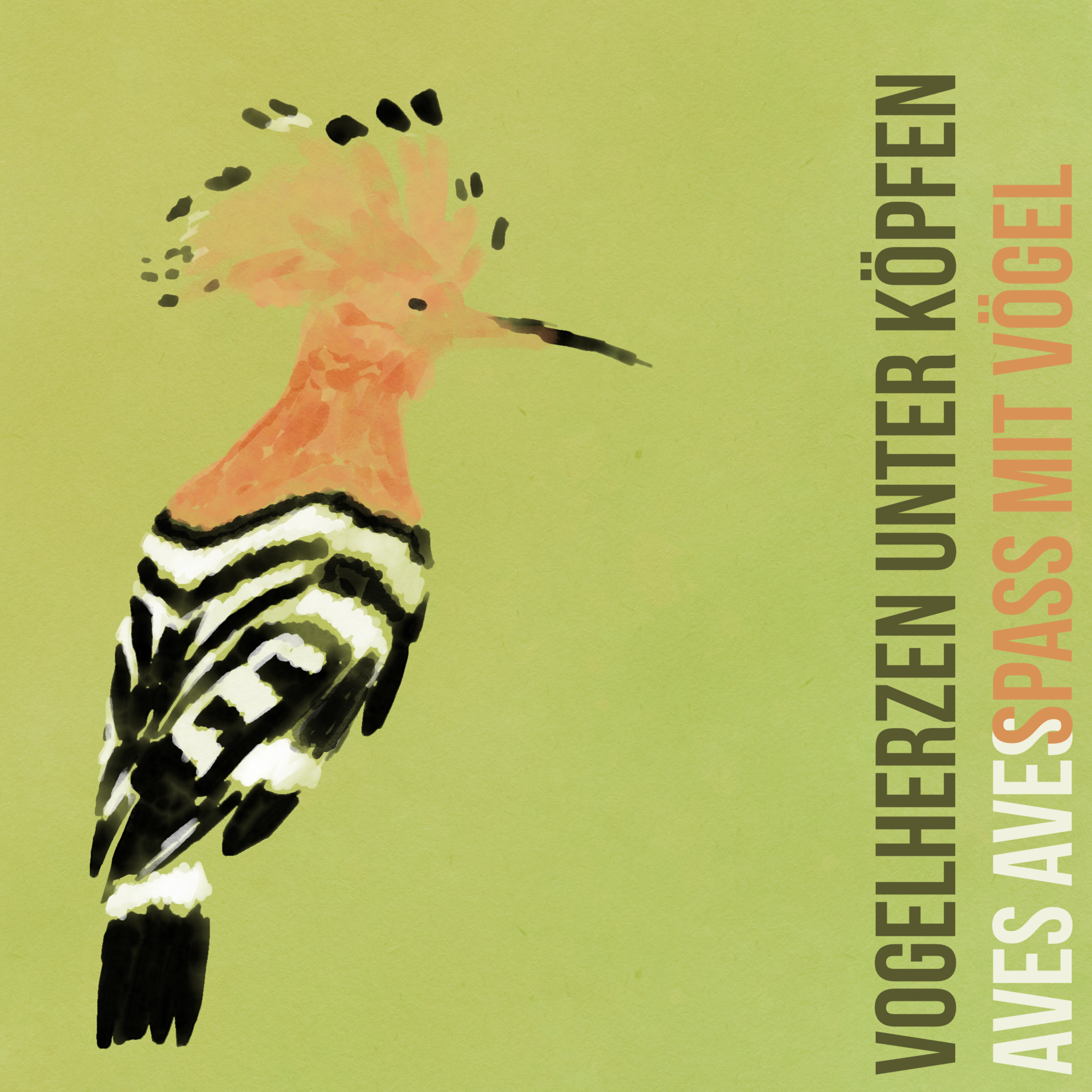 Aves Aves - Spass mit Vögel