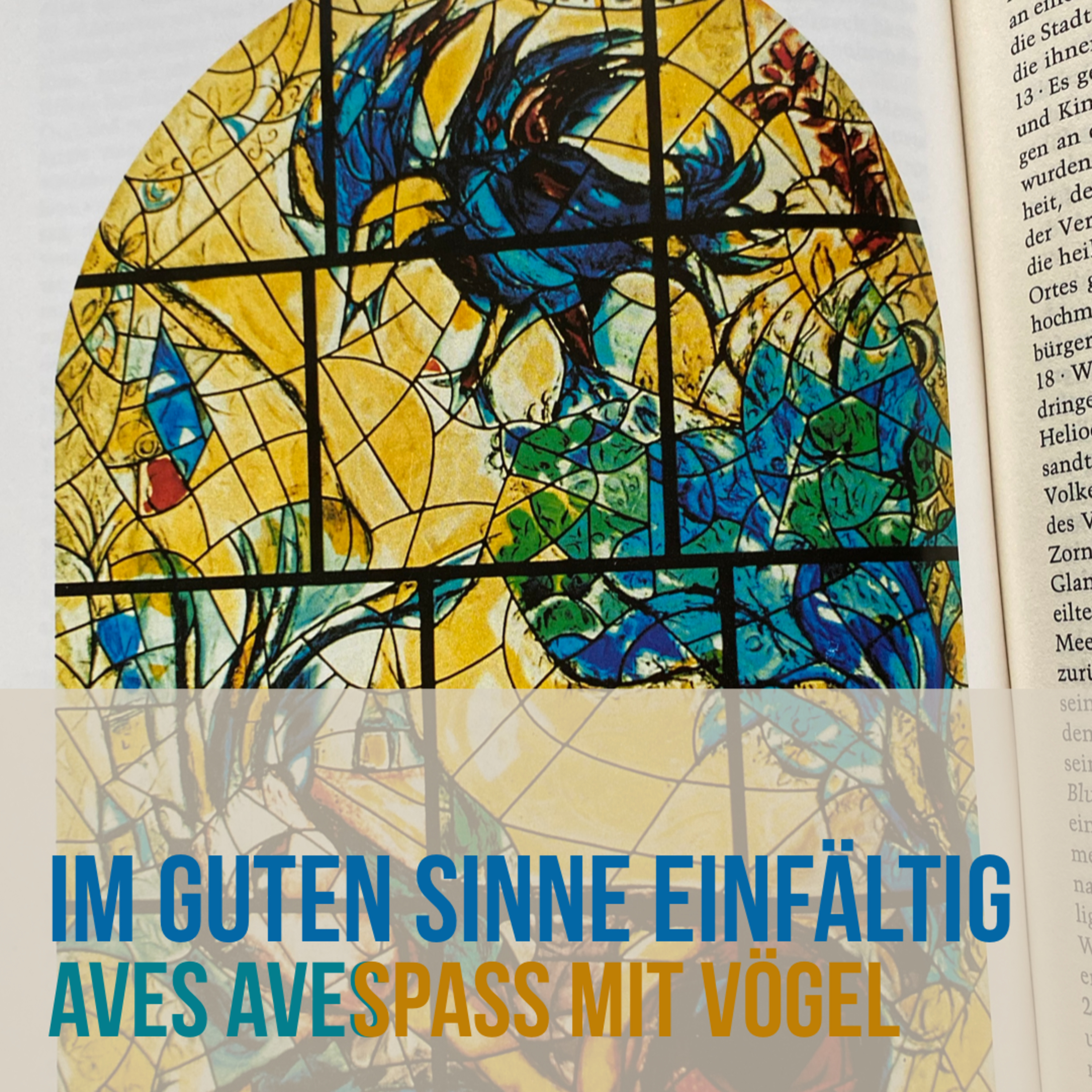 Aves Aves - Spass mit Vögel